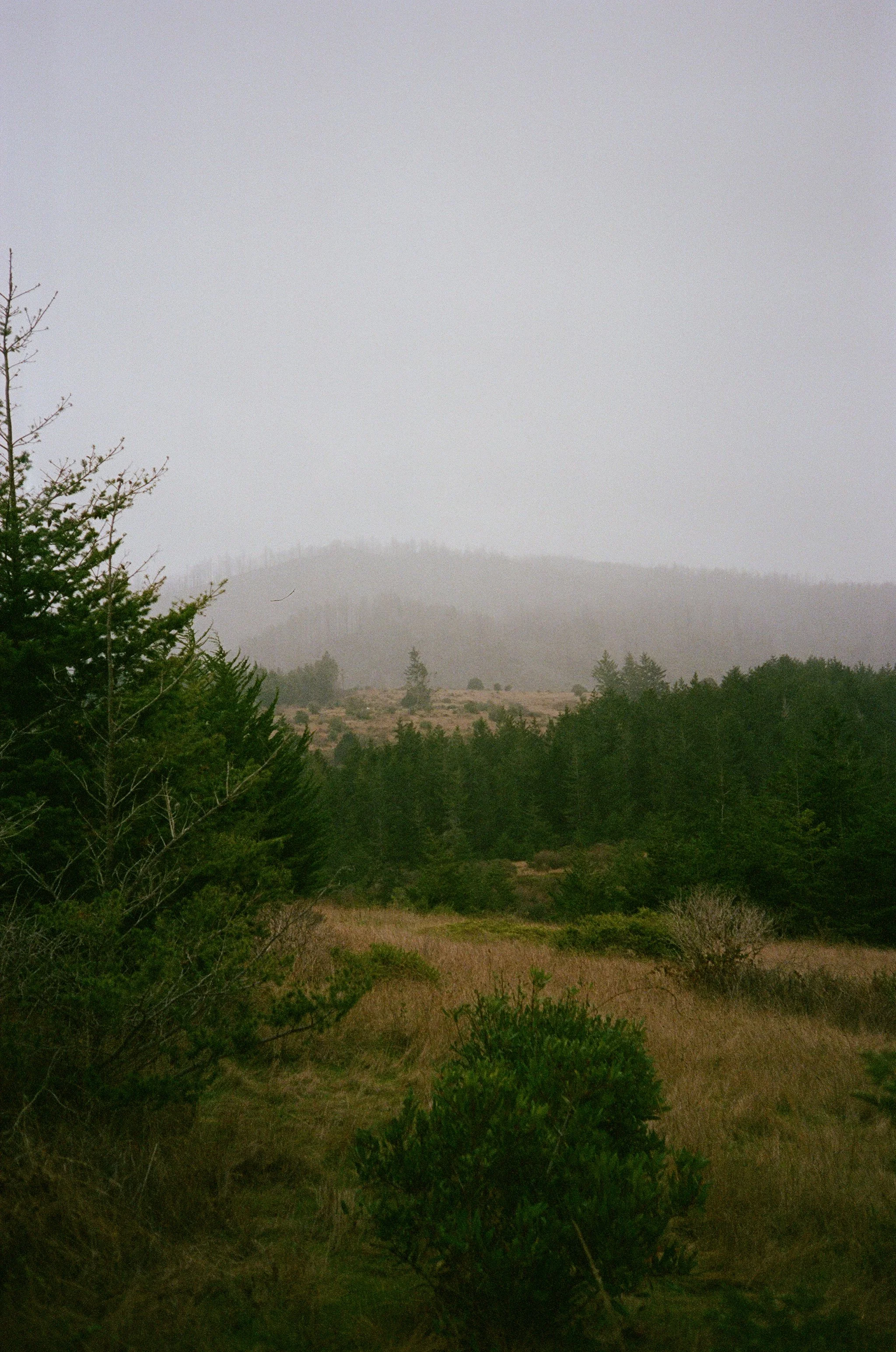 Foggy Mountains, Pescadero