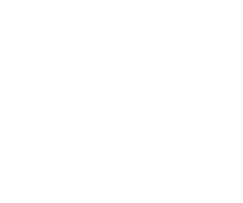 Little Bodies Therapy logo