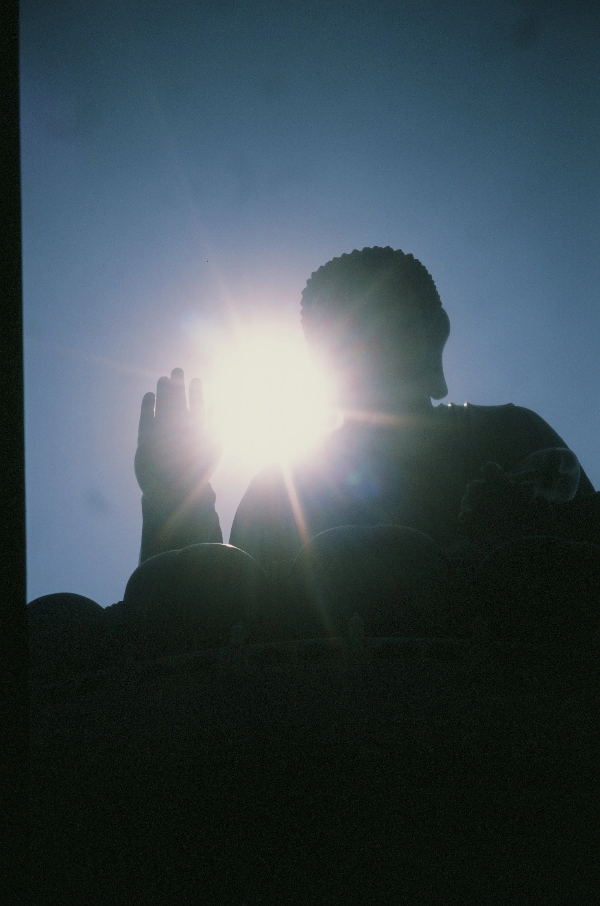 Big Buddha & Fishing Village Tai O Tour