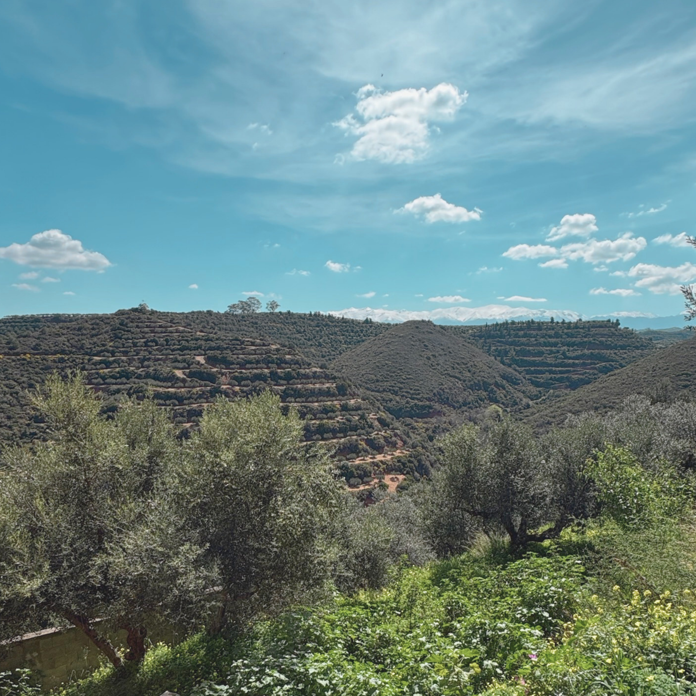 A scenic view of a landscape with hills covered in greenery, trees in the foreground, and a clear blue sky with scattered white clouds.