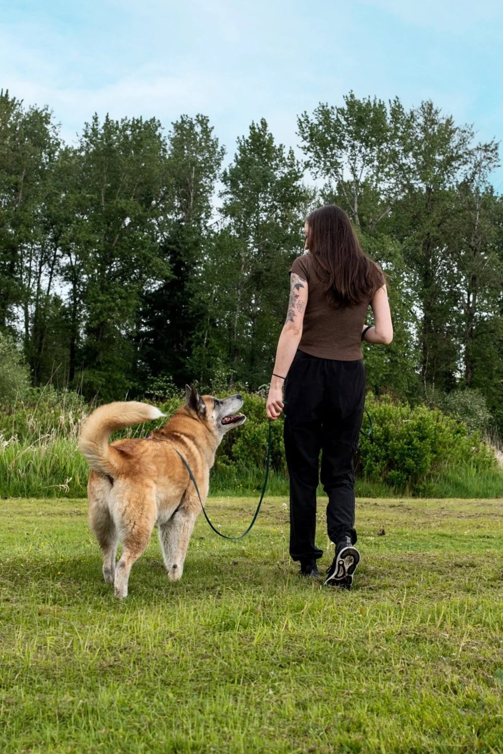 Dog walker and large tan dog walking together through a grassy field during an enrichment walk.