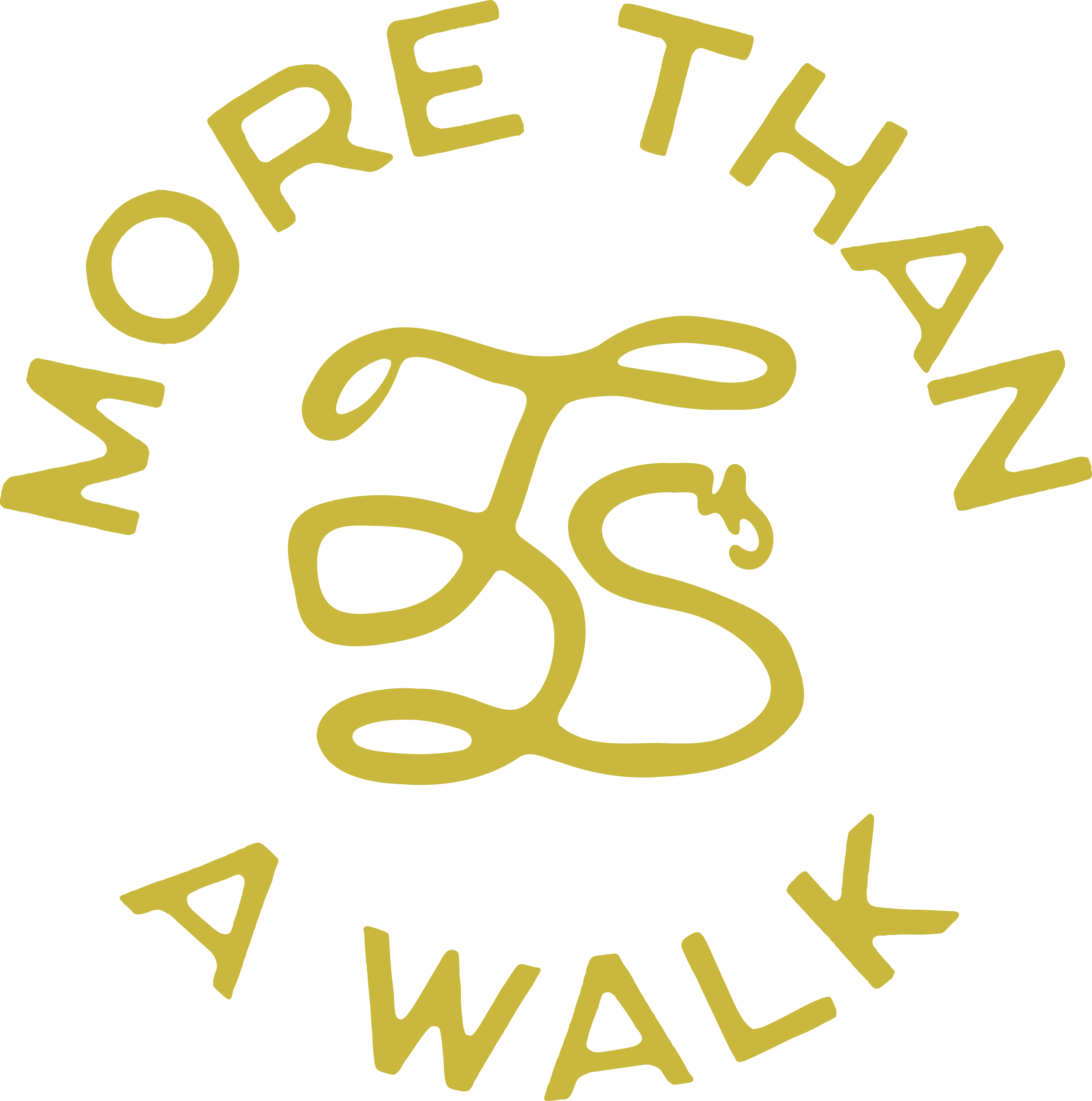 The Dog Standard brand badge with a leash forming the letters TDS and the words “more than a walk.”