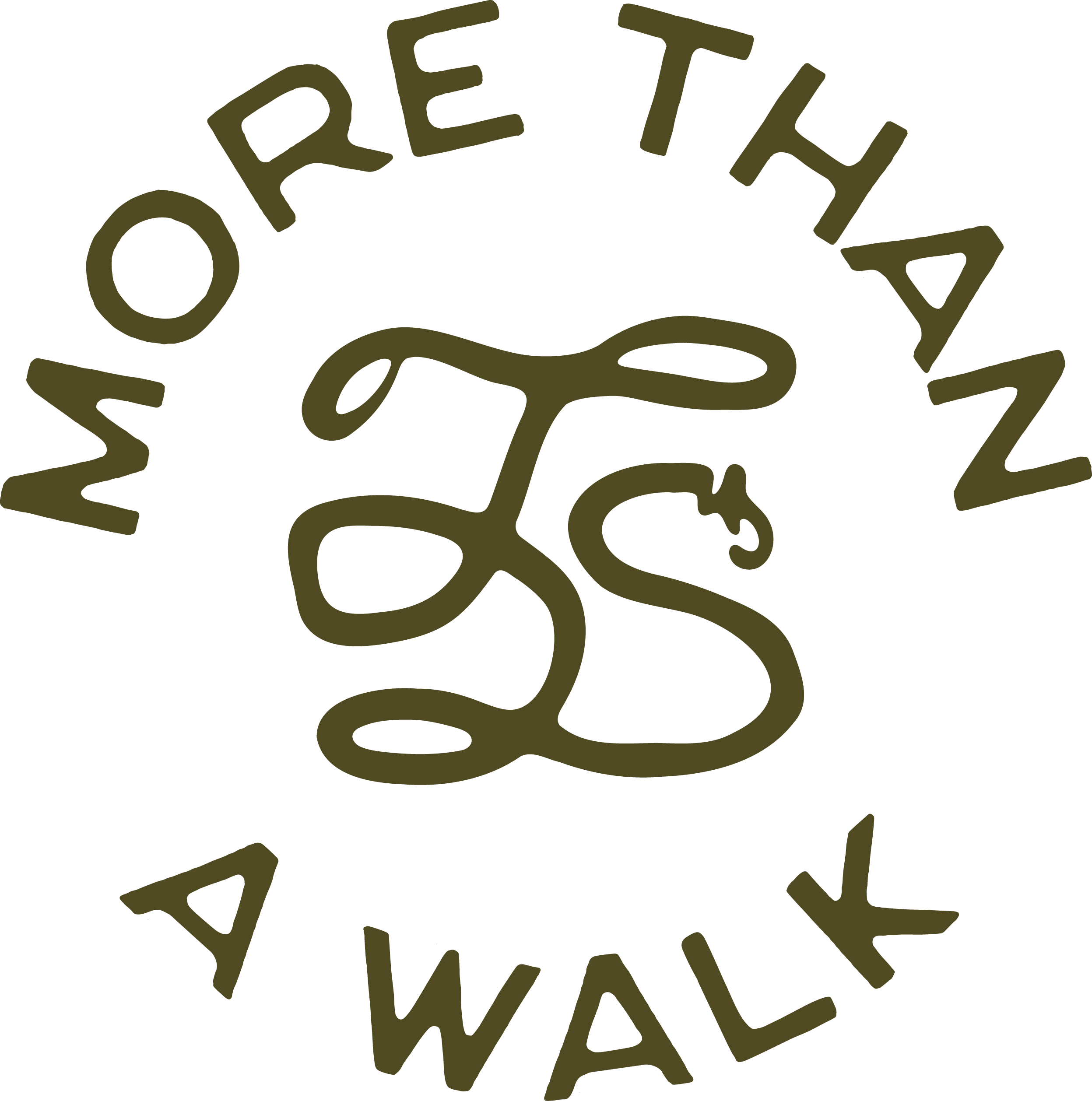 The Dog Standard brand badge with a leash forming the letters TDS and the words “more than a walk.”