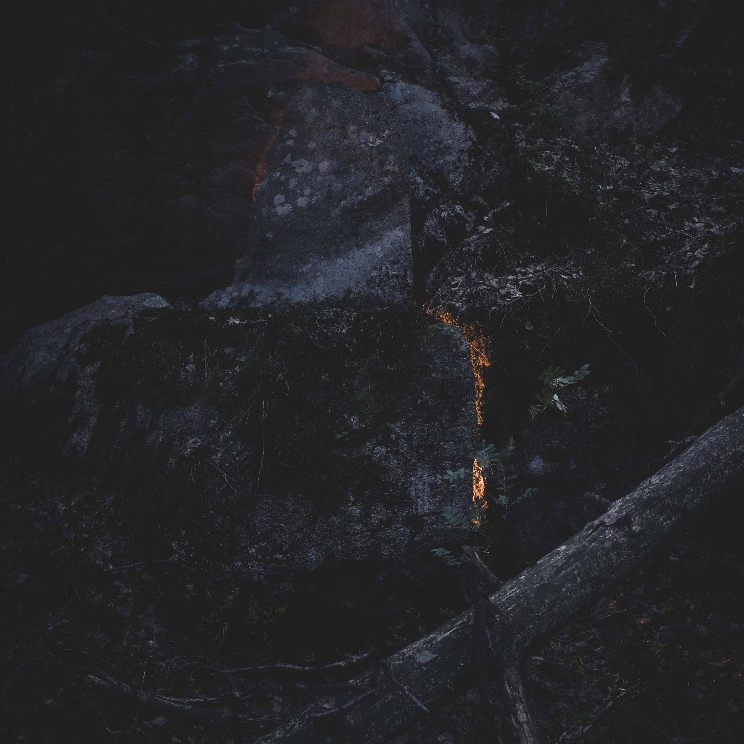 Candle glow behind a rock covered in moss, growth in a forest in Norway. Film photo
