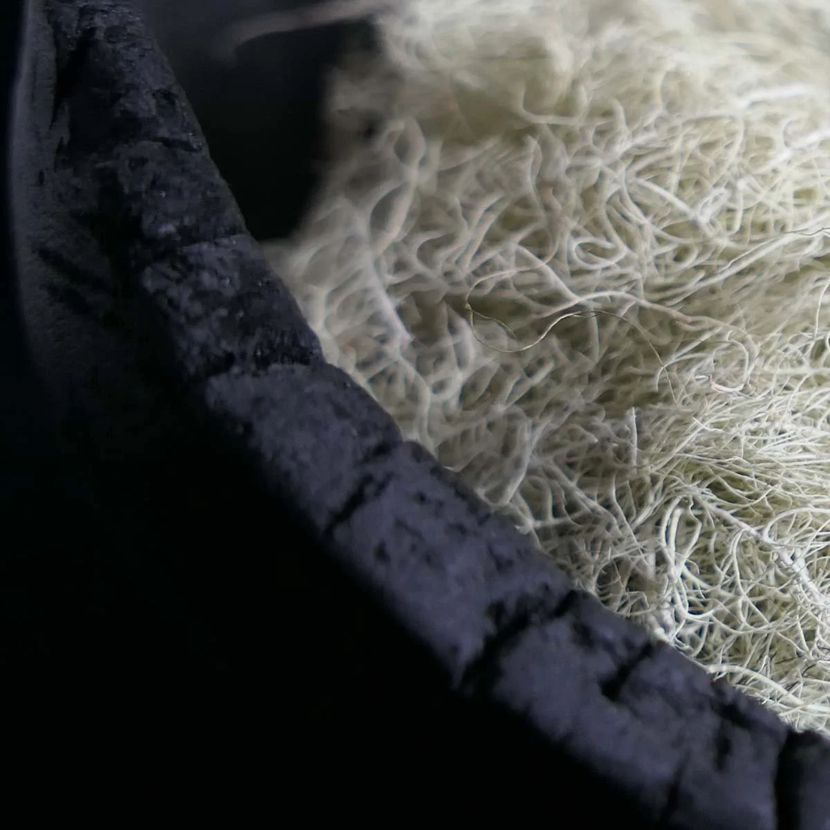 Oakmoss in a sho sugi ban wood bowl