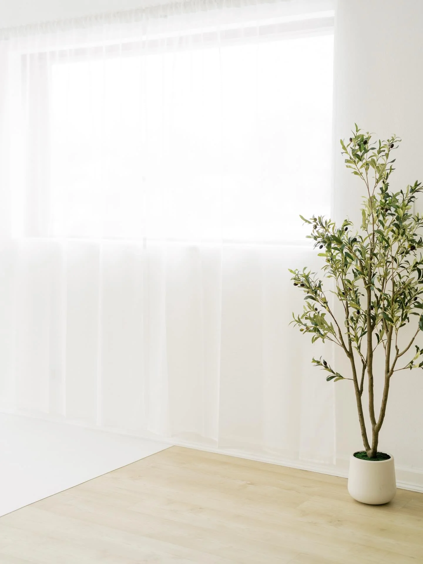 Let&rsquo;s talk about morning light!
The studio is north facing which means sunlight never directly comes in through the front window. We do however have an east facing side window which lets in tons of morning light. Between 8am and 12pm there is a