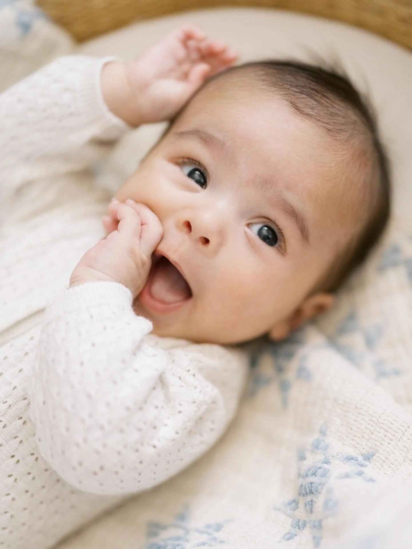 Nothing sweeter than a newborn session. Now booking newborns sessions mid March and on! It&rsquo;s never too late capture your newest addition 🤍