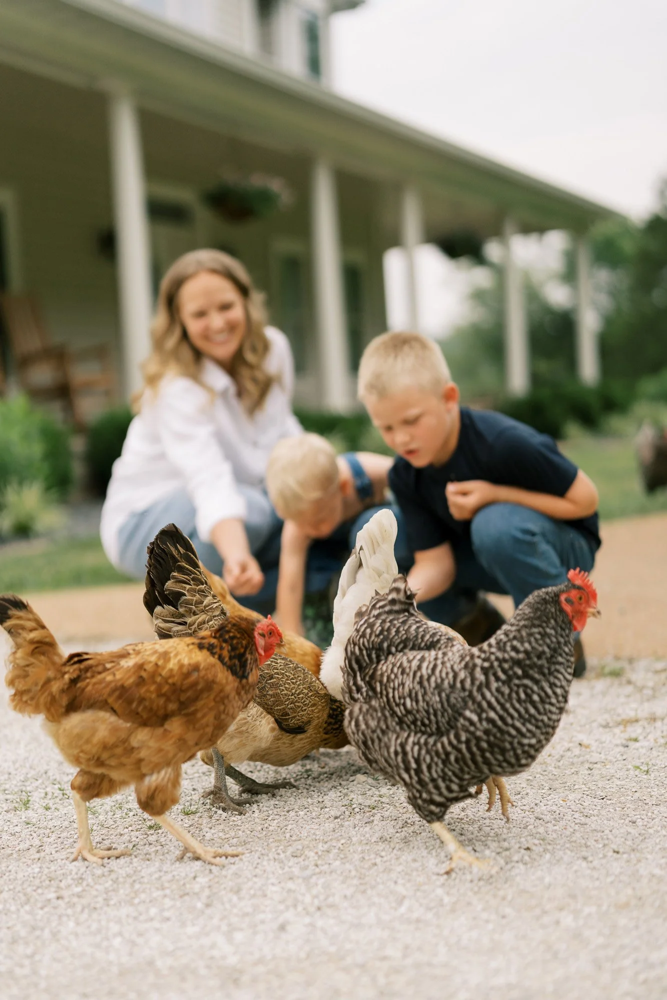 Family with children interacting with chickens during outdoor session in St. Louis, Missouri