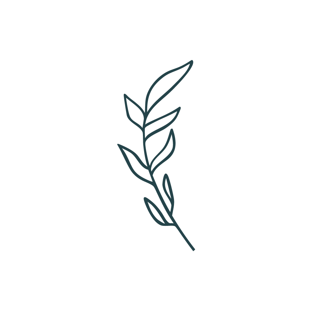 botanical element from logo