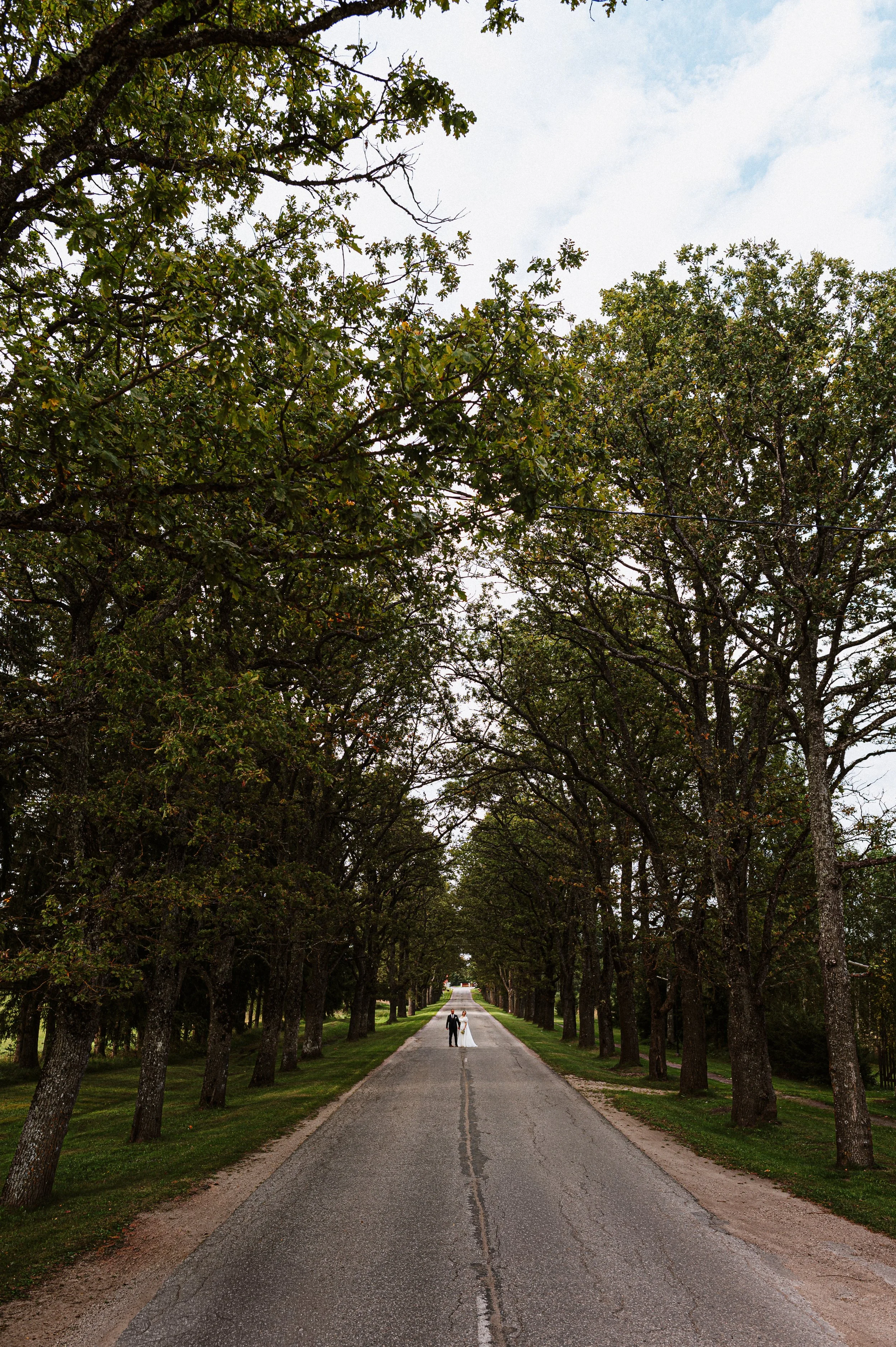 A bride and groom walking hand in hand down a long, straight road lined with tall trees on both sides.