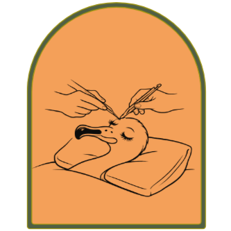 Illustration of a veterinarian performing an injection on a duck that is resting on pillows.