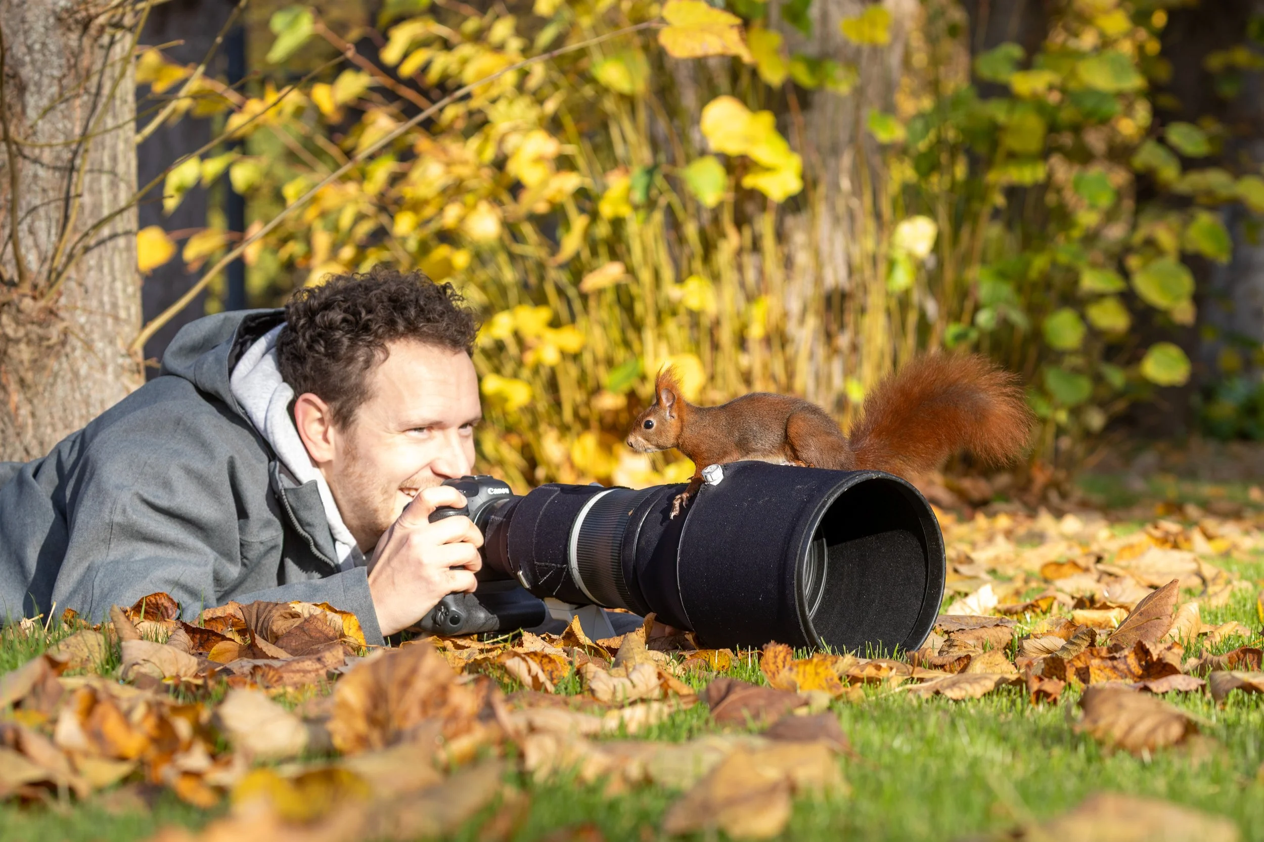 Ein Mann fotografiert mit einer Kamera, während eine Eichhörnchen auf der Linse sitzt, im Herbst unter buntem Laub im Freien in einem Park in Hannover.