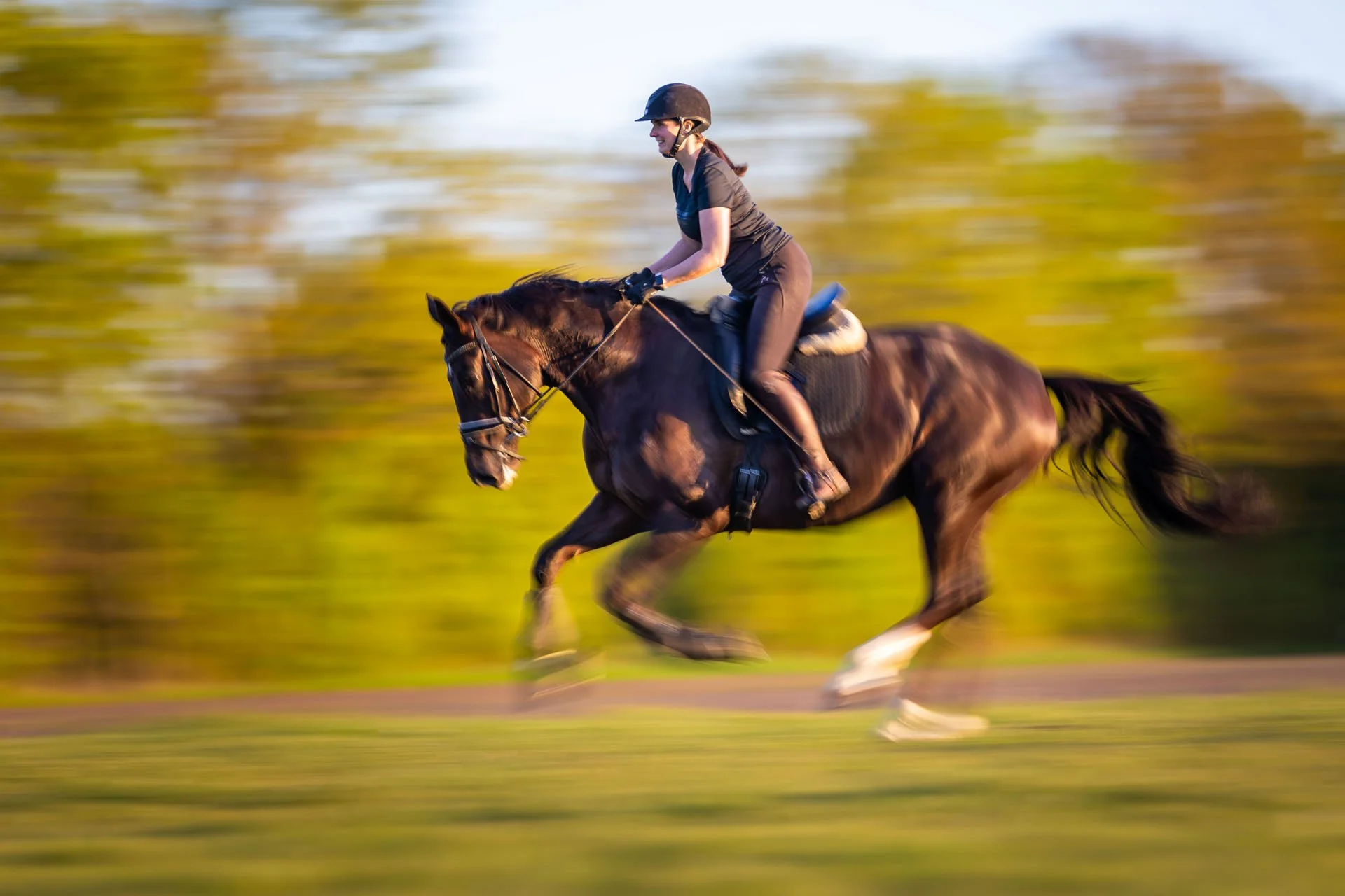 Reiterin reitet im Galopp über eine Wiese
