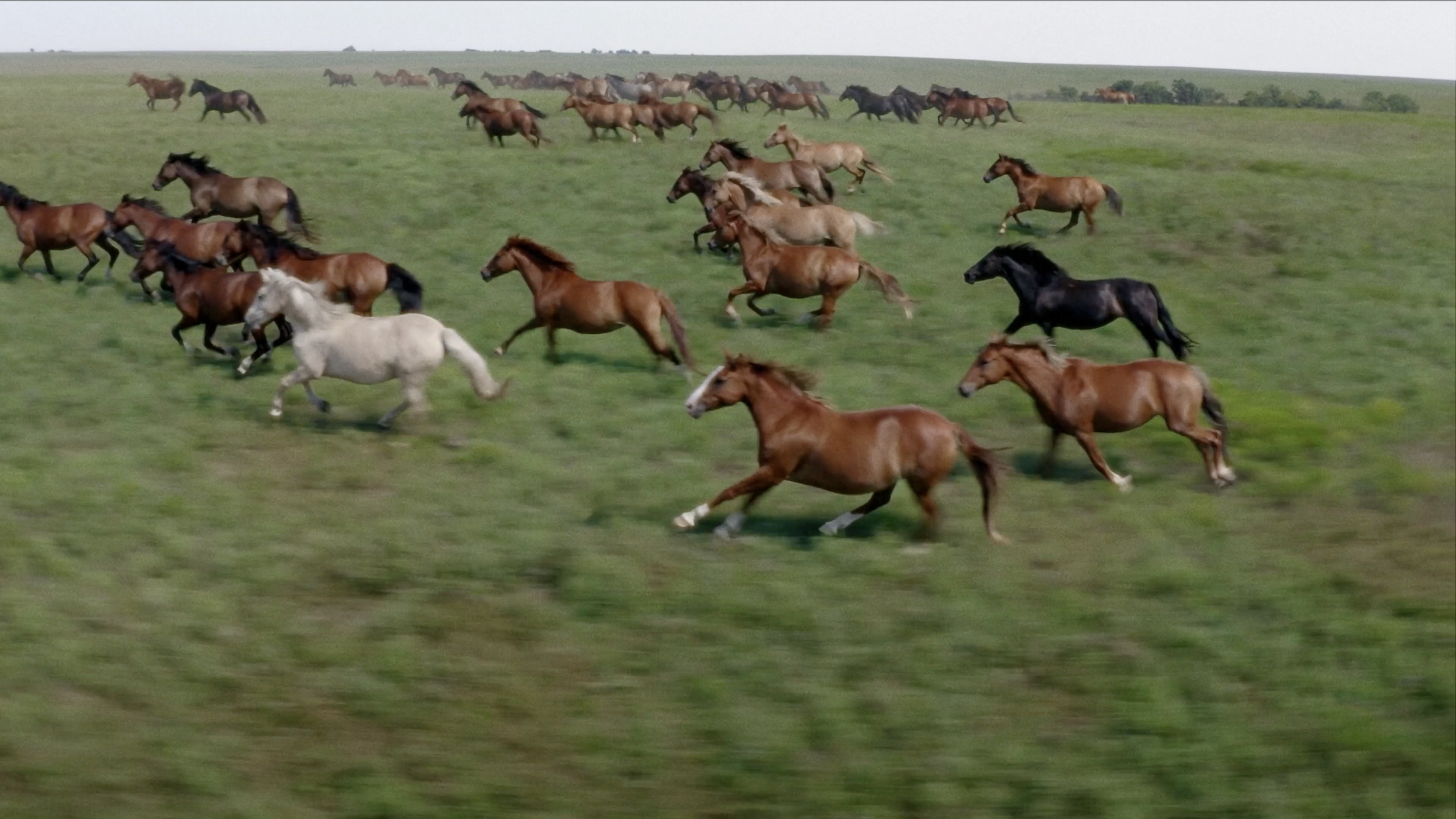 Screenshot 2026-04-22 at 22.57.54.png