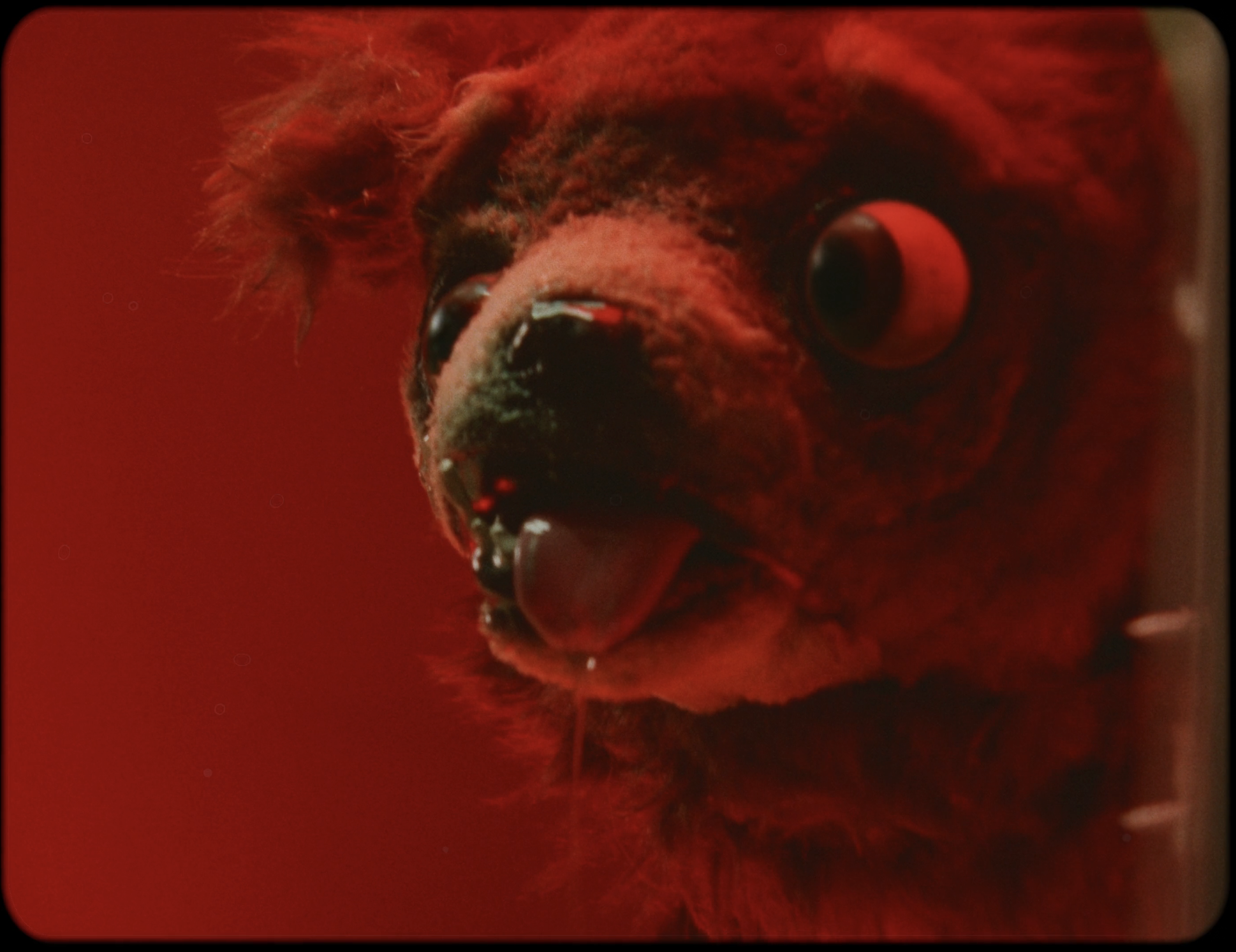 Screenshot 2026-04-23 at 19.26.47.png