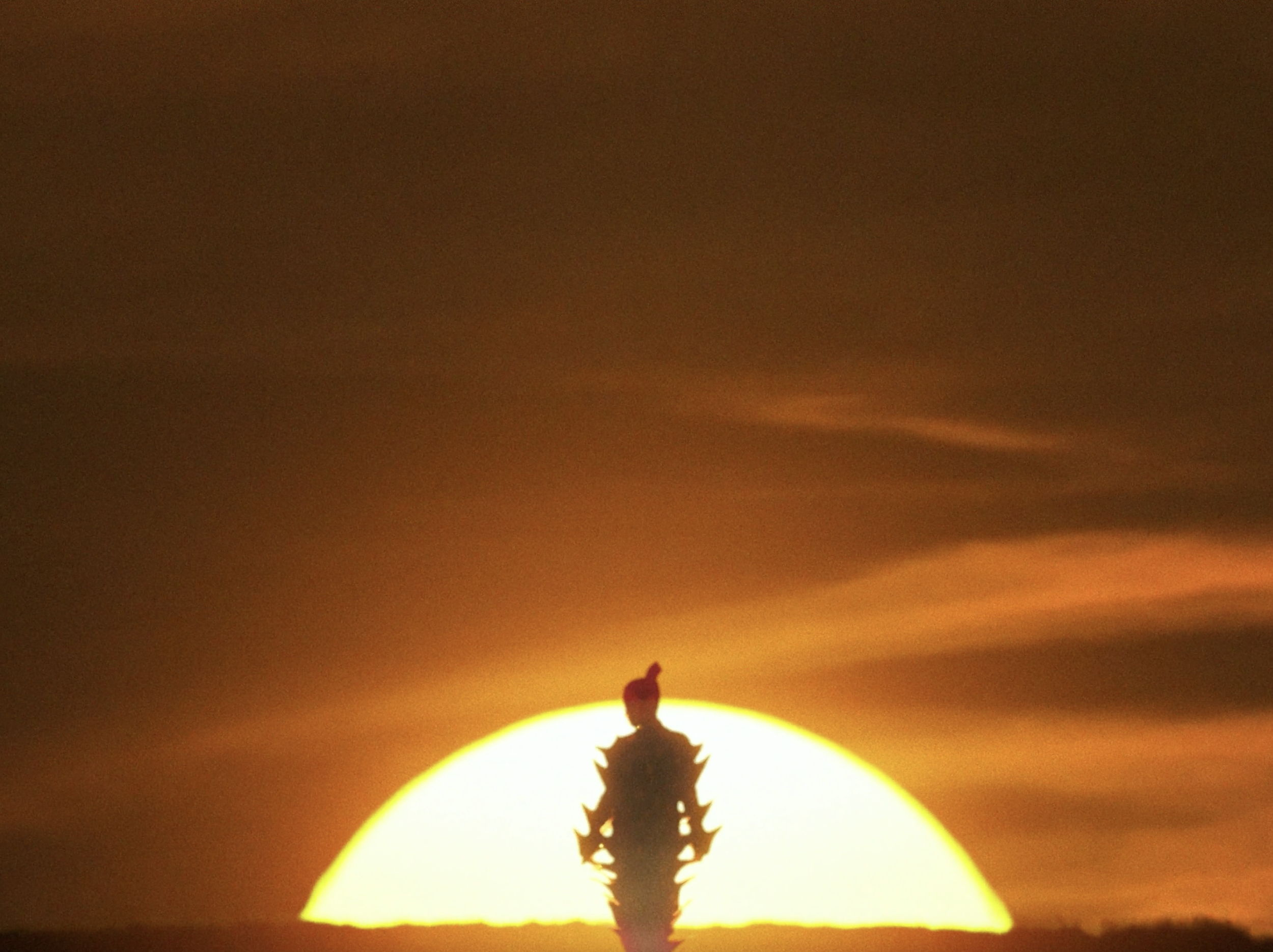 Screenshot 2026-01-30 at 22.45.29.png