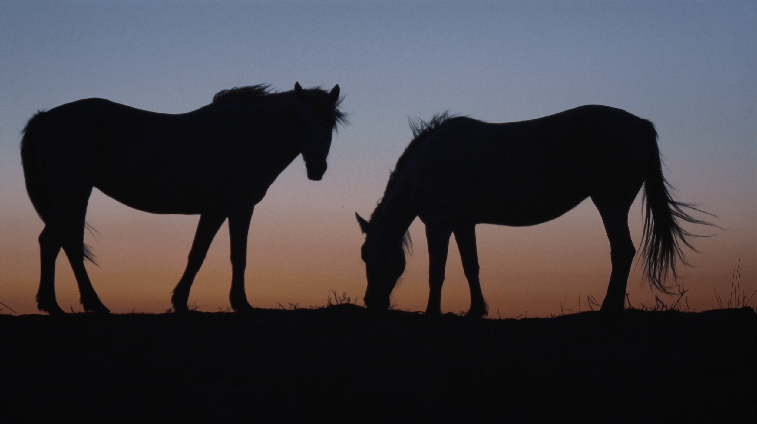 Screenshot 2026-04-22 at 22.23.40.png