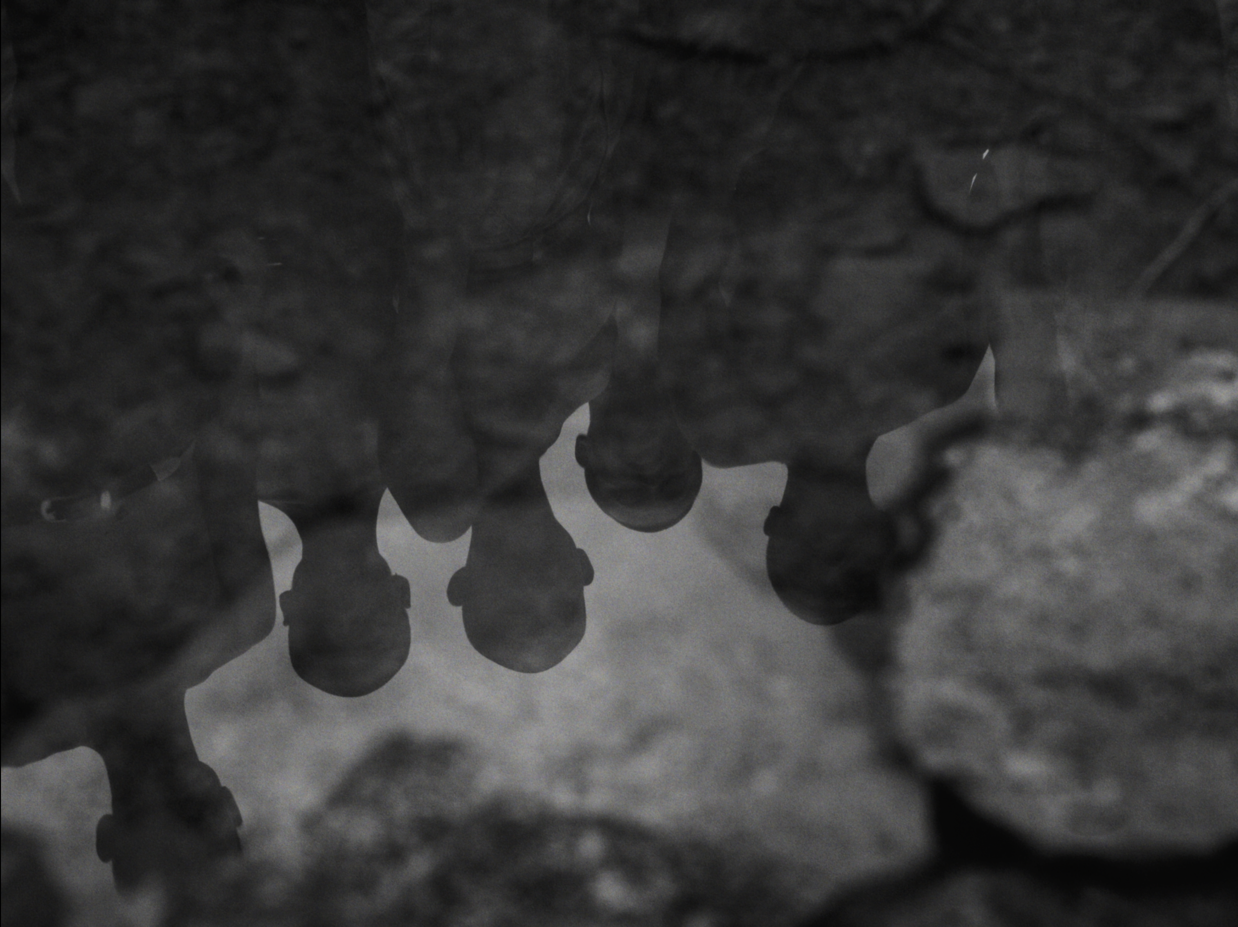 スクリーンショット 2026-01-28 15.22.42.PNG