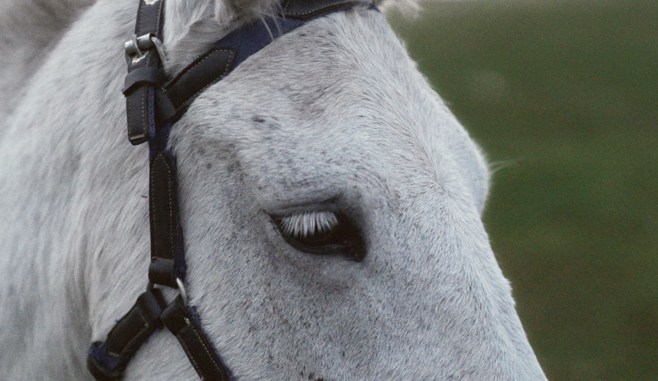 Screenshot 2026-04-22 at 22.14.25.png