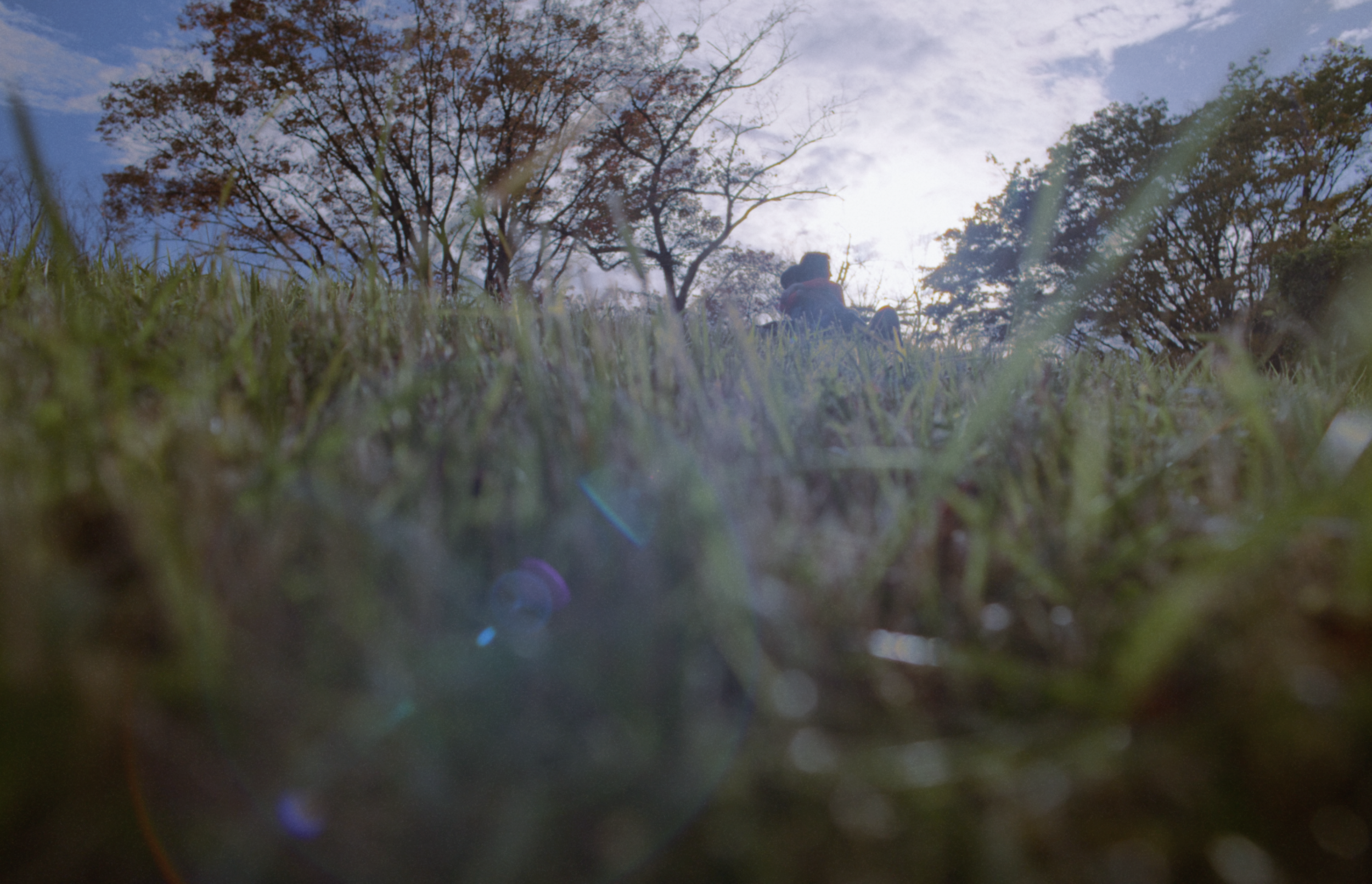 スクリーンショット 2026-02-06 23.13.06.png