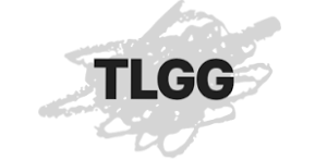 TLGG was the first digital agency to capture the extent and scope of the digital revolution