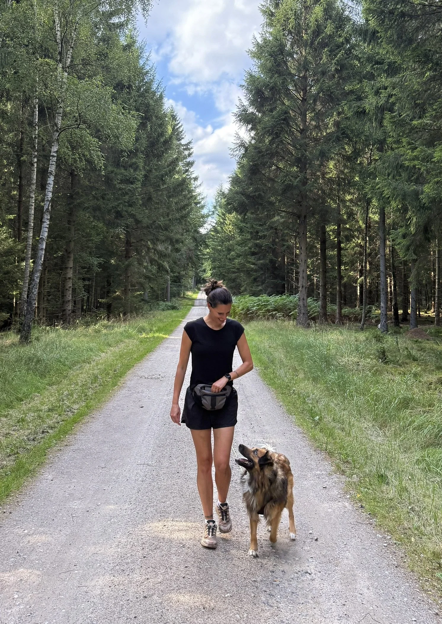 En kvinde går på en skovsti sammen med en hund, omgivet af høje træer under en blå himmel.