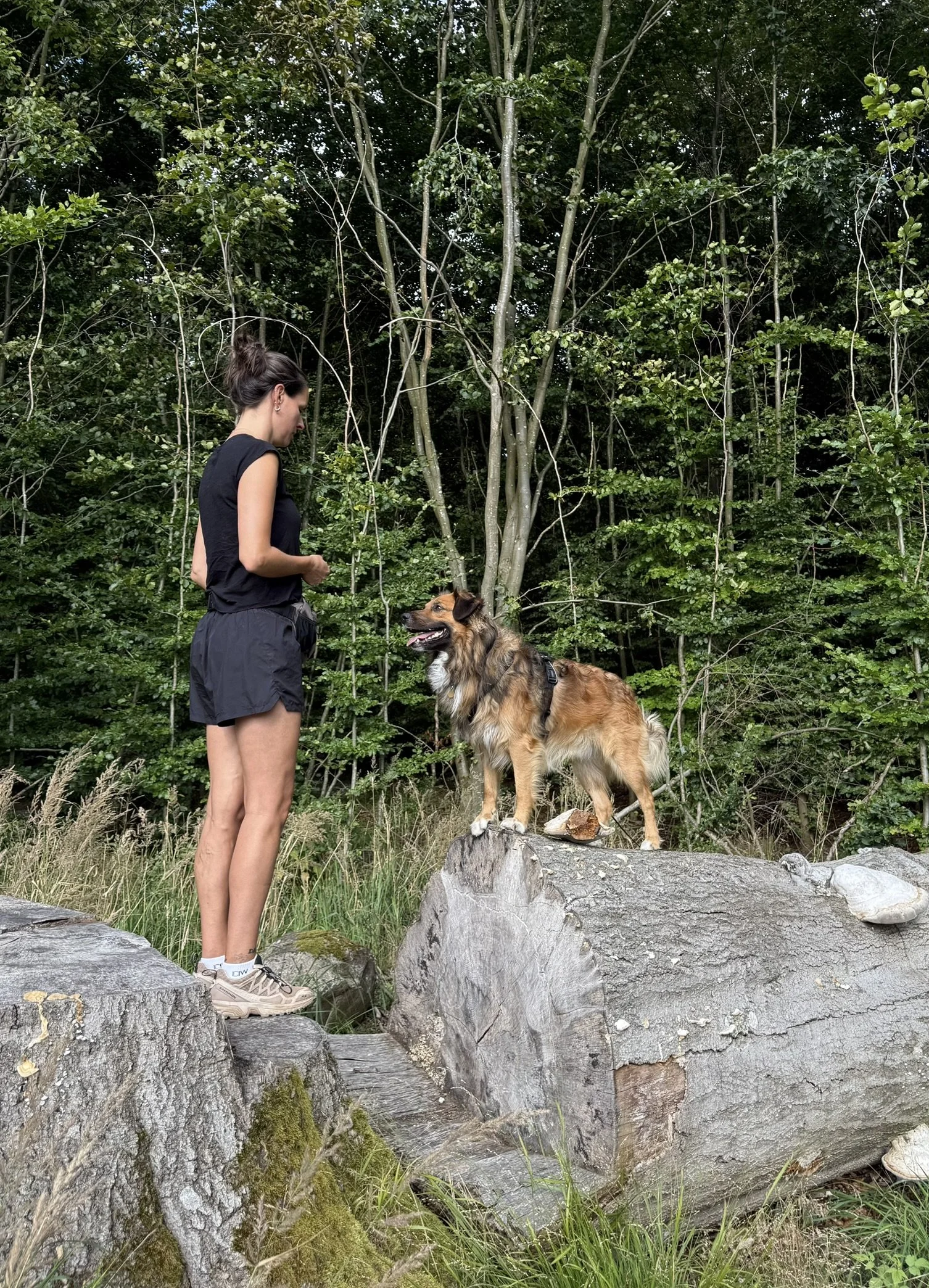 En kvinde og en hund står på en stor træstamme i en skov.