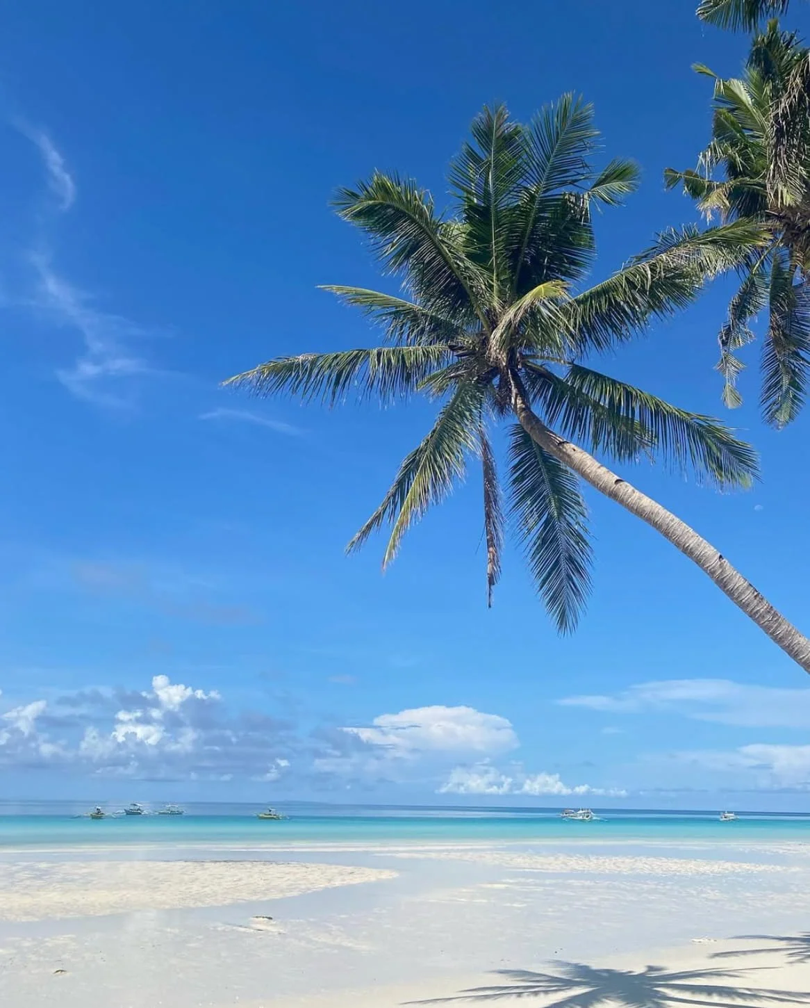 Tropical beach with a palm tree, sand, and boats on calm blue ocean under a clear blue sky with a few clouds. Harlan Beach Villa Boracay