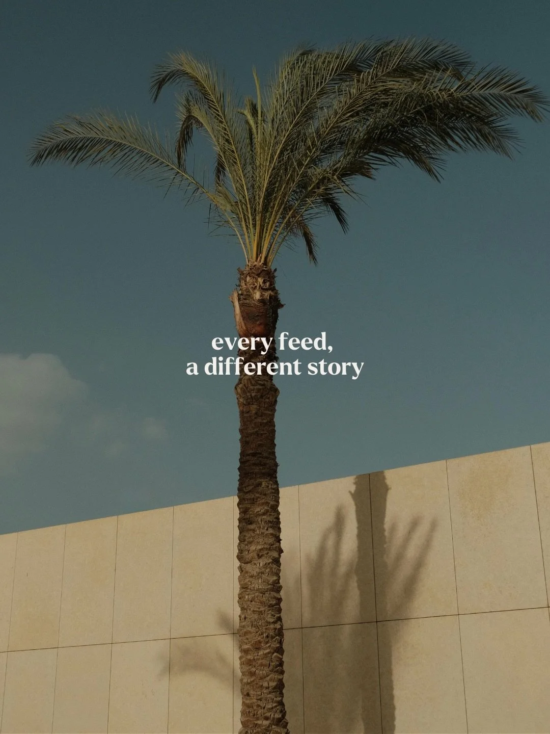 Every brand has its own story &mdash; and its own visual identity.

That&rsquo;s why at SociaLisa Marketing we don&rsquo;t believe in one fixed formula for social media. What works for one brand might not work for another. 

Each feed we create is ca