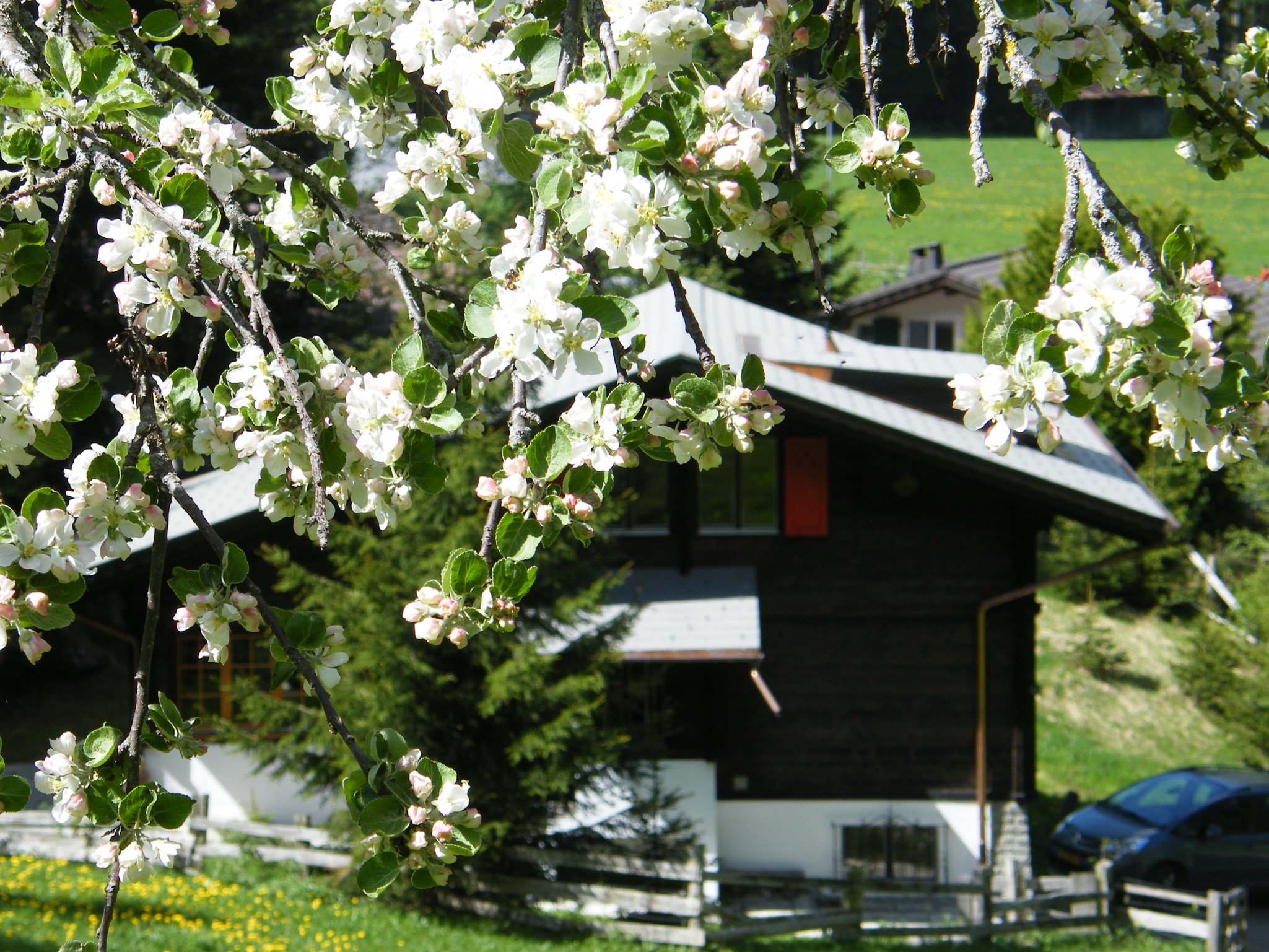 Kandersteg mei 2009 105.JPG