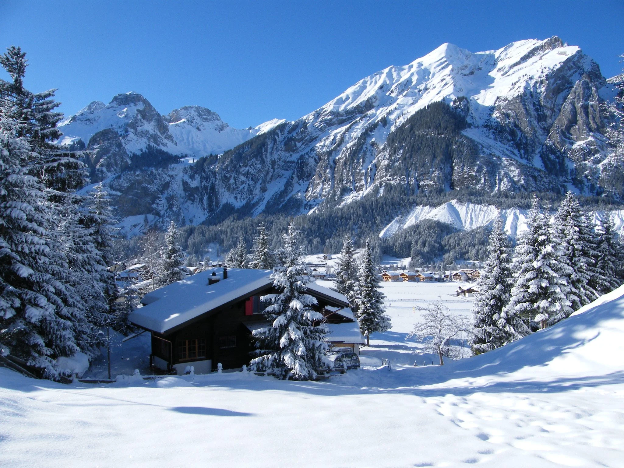 laatste foto's 227 (1).JPG