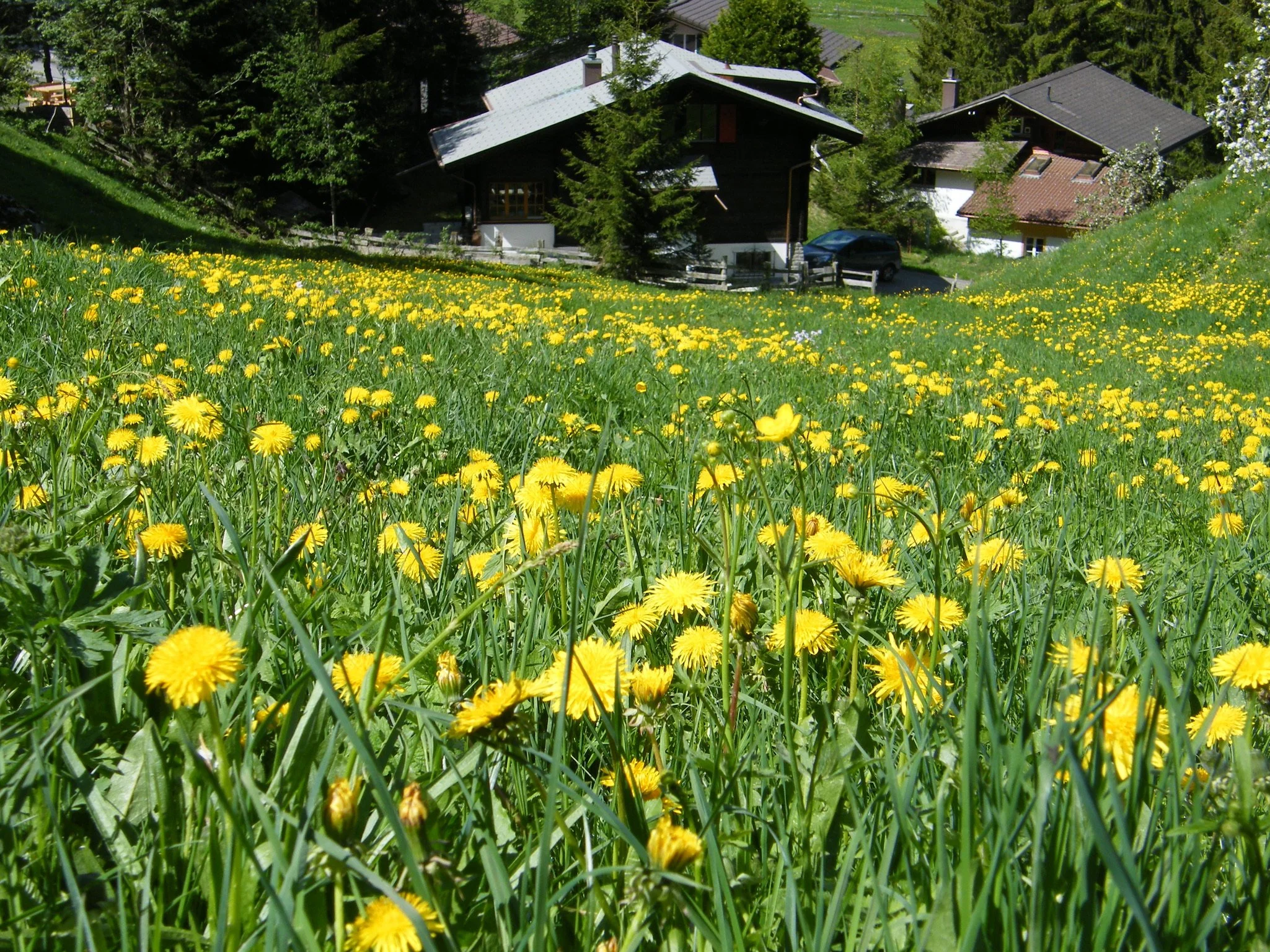 Kandersteg mei 2009 102.JPG