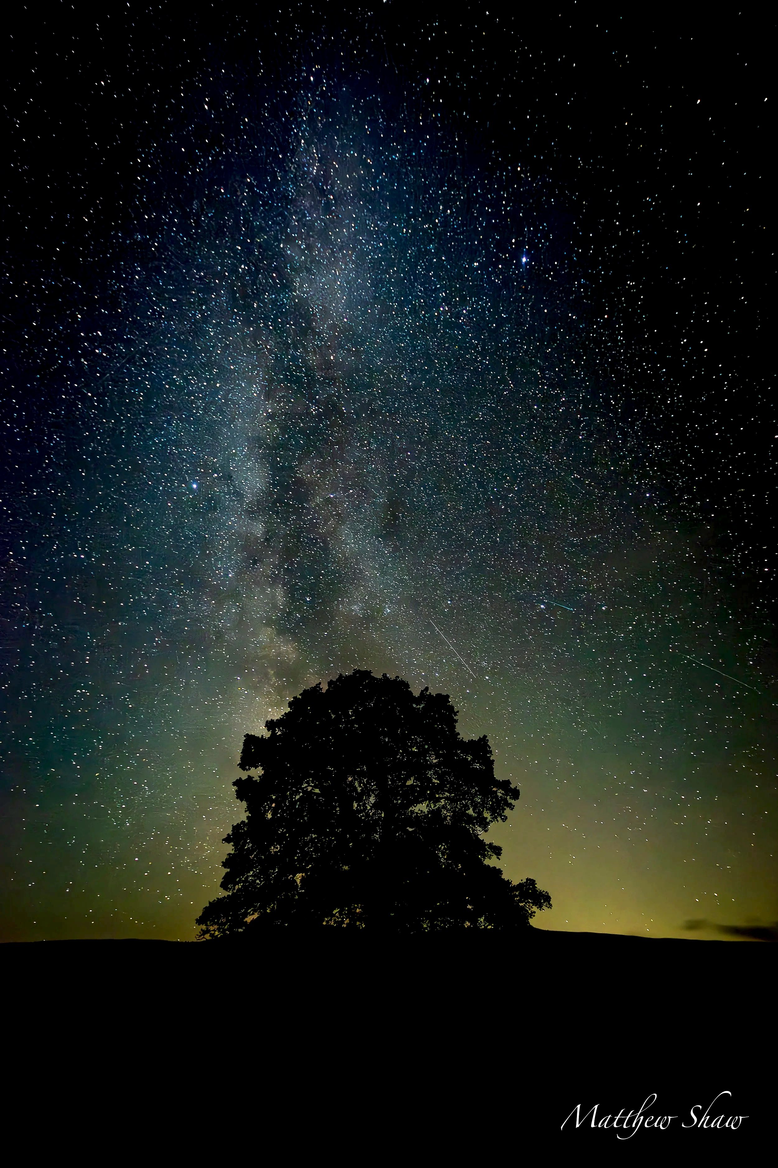 A silhouette of a tree against a starry night sky with the Milky Way galaxy visible.
