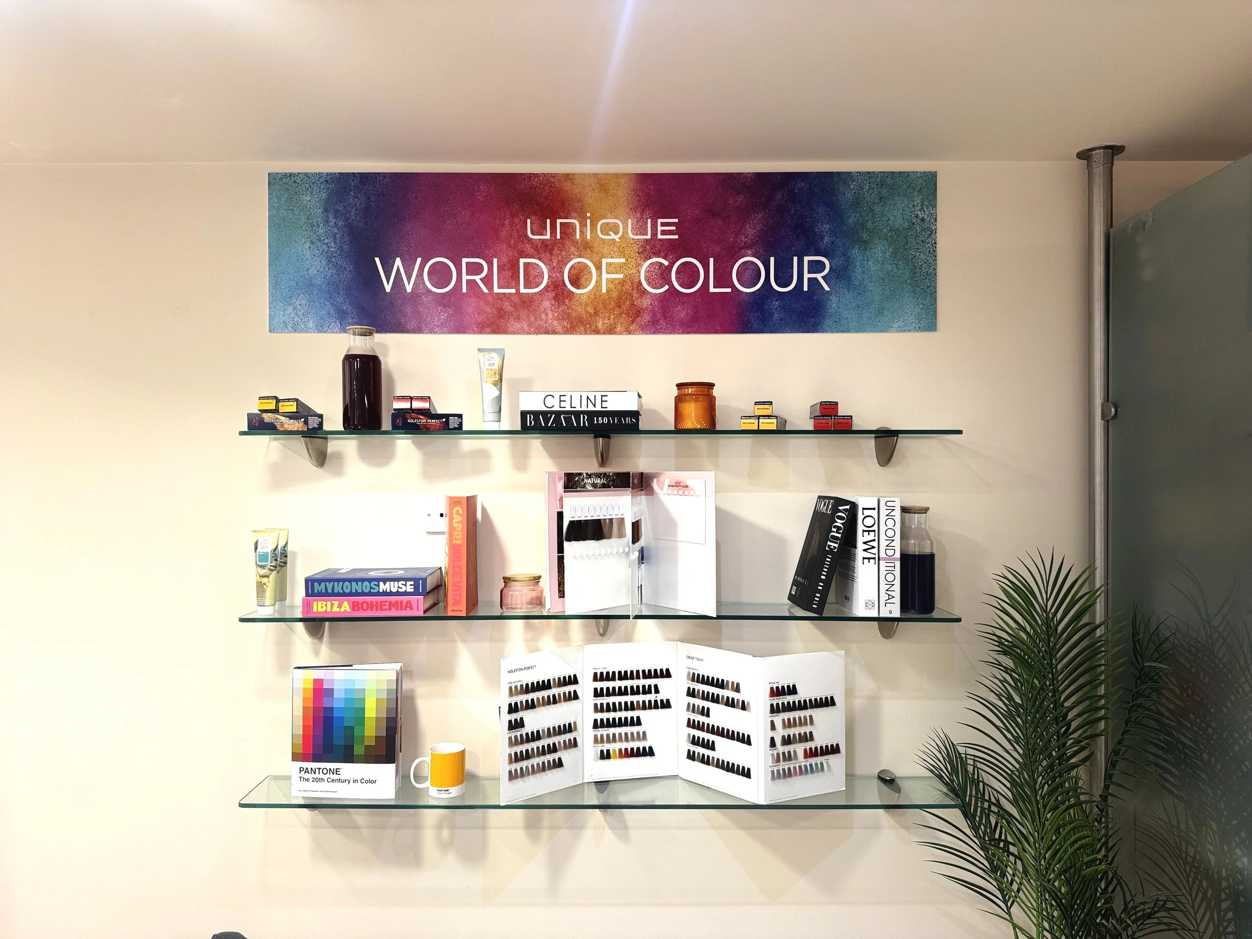 Glass shelves displaying books, color samples, and art supplies against a plain wall with a colorful sign that says 'Unique World of Colour'.