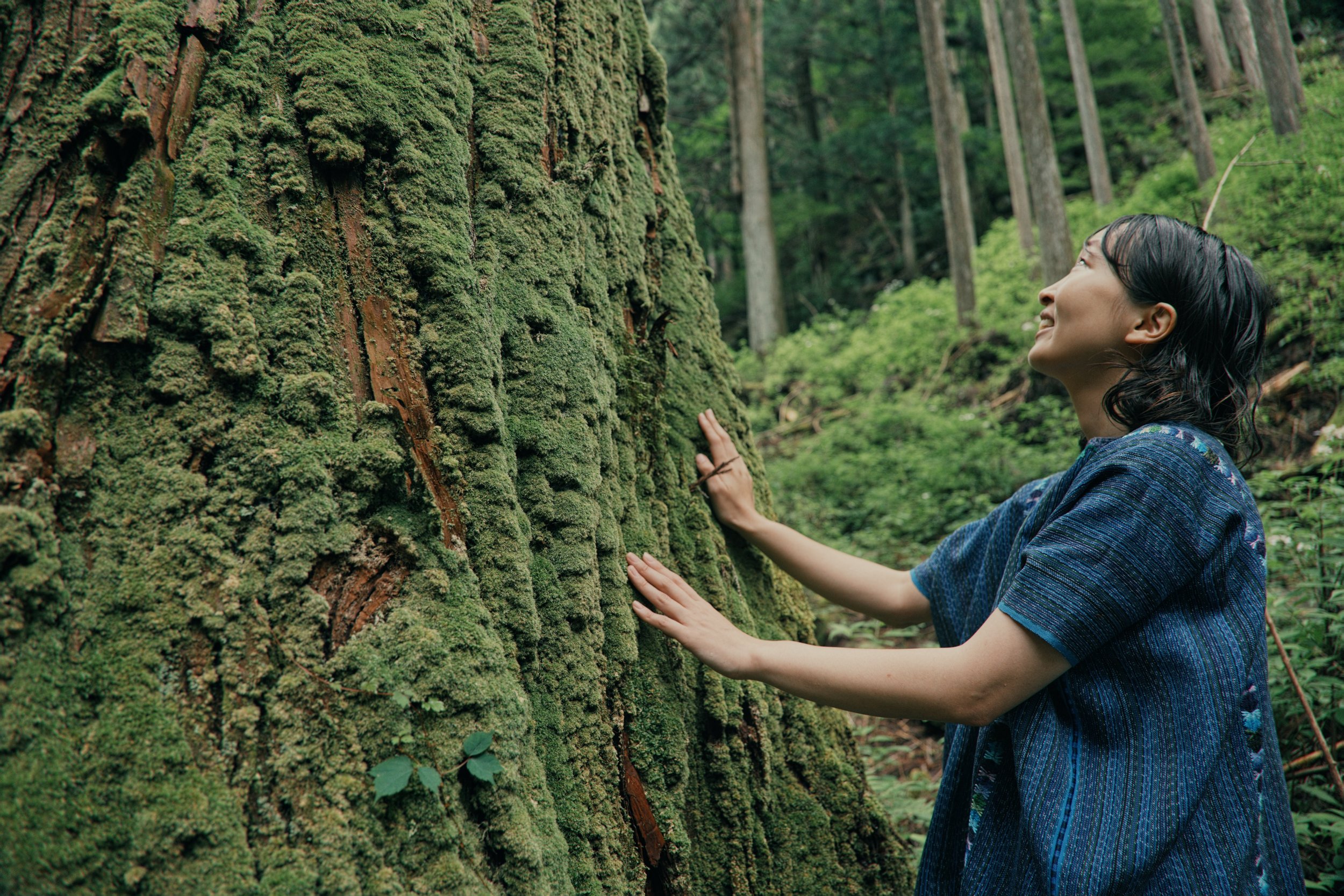 五感で感じる森の1日リトリート