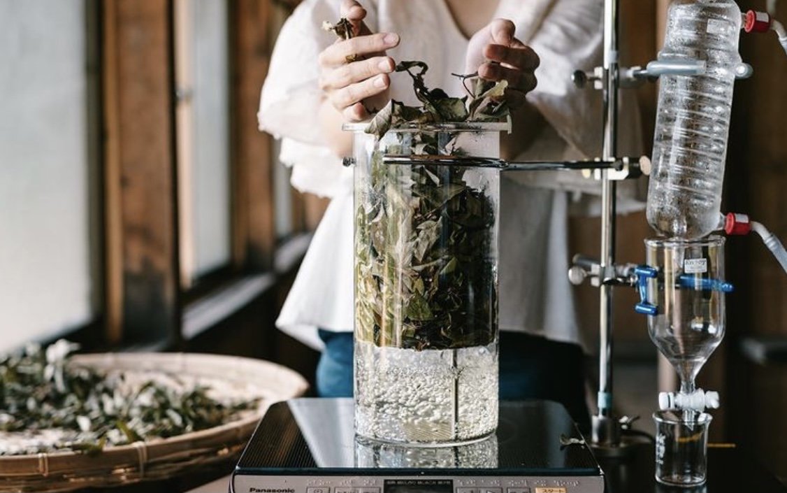 森の香りにふれる半日リトリート