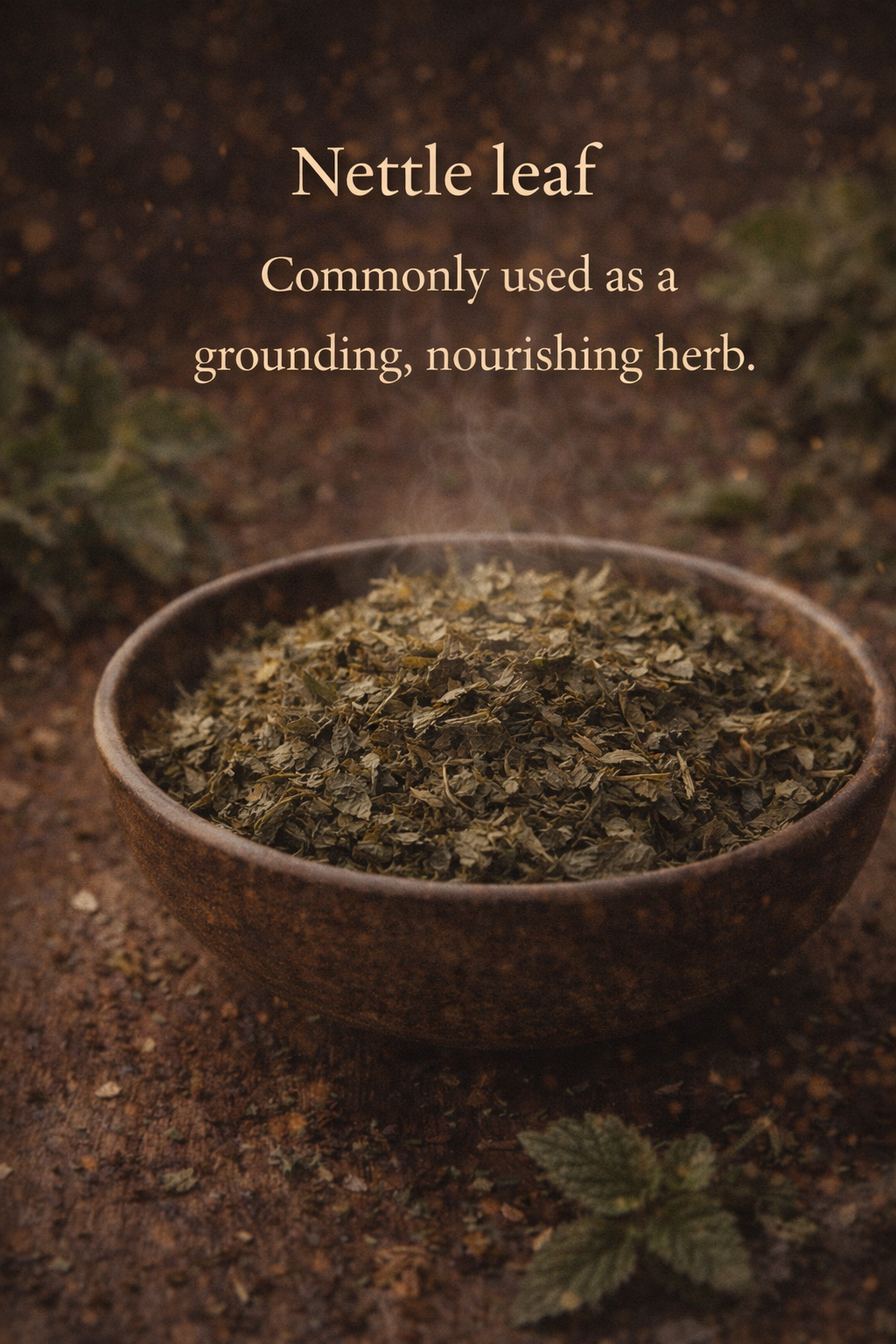 ChatGPT Image Feb 15, 2026, 02_51_41 PM.png