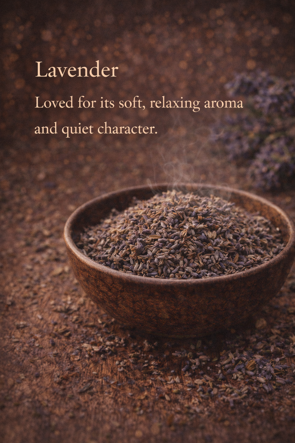 ChatGPT Image Feb 14, 2026, 03_11_51 PM.png