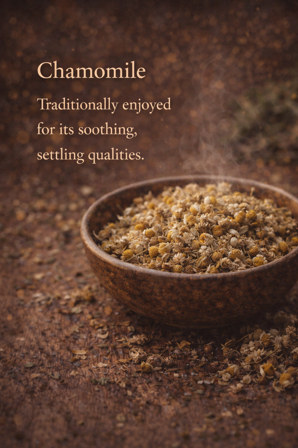 ChatGPT Image Feb 14, 2026, 03_04_46 PM.png