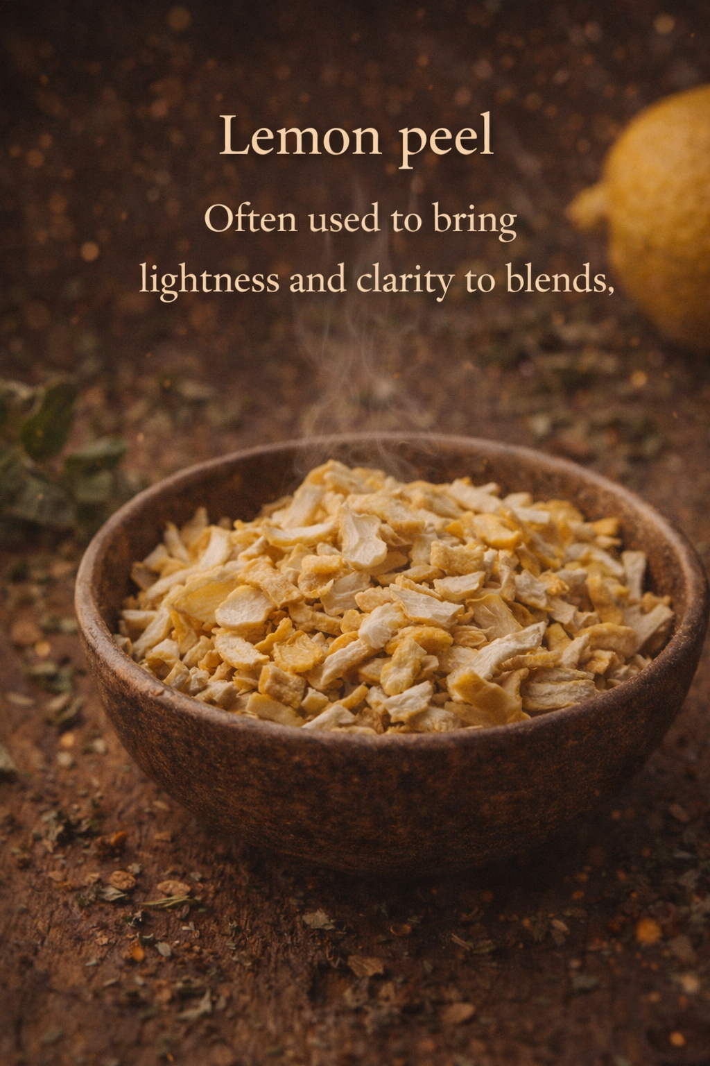 ChatGPT Image Feb 15, 2026, 02_51_31 PM.png