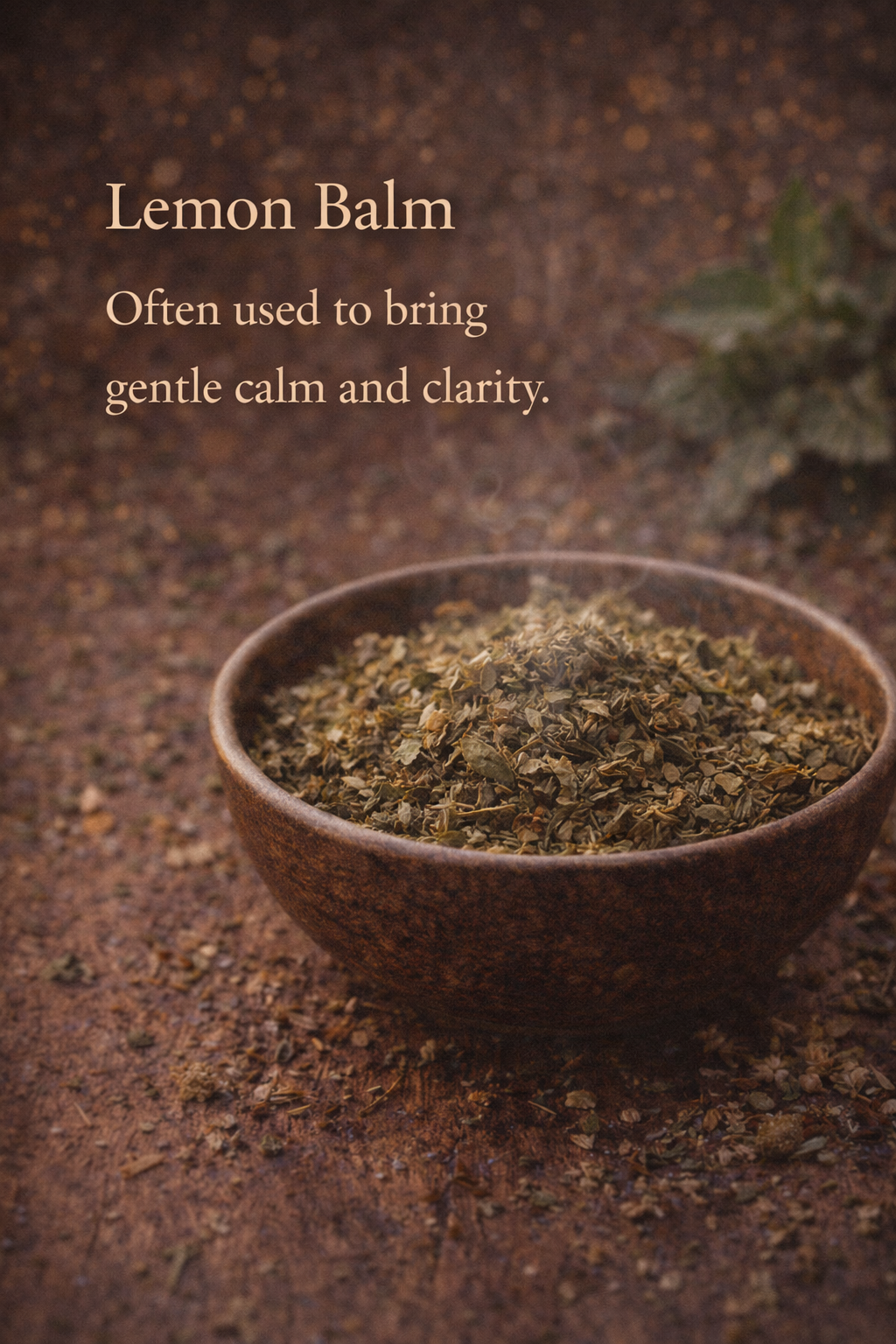 ChatGPT Image Feb 14, 2026, 03_06_03 PM.png