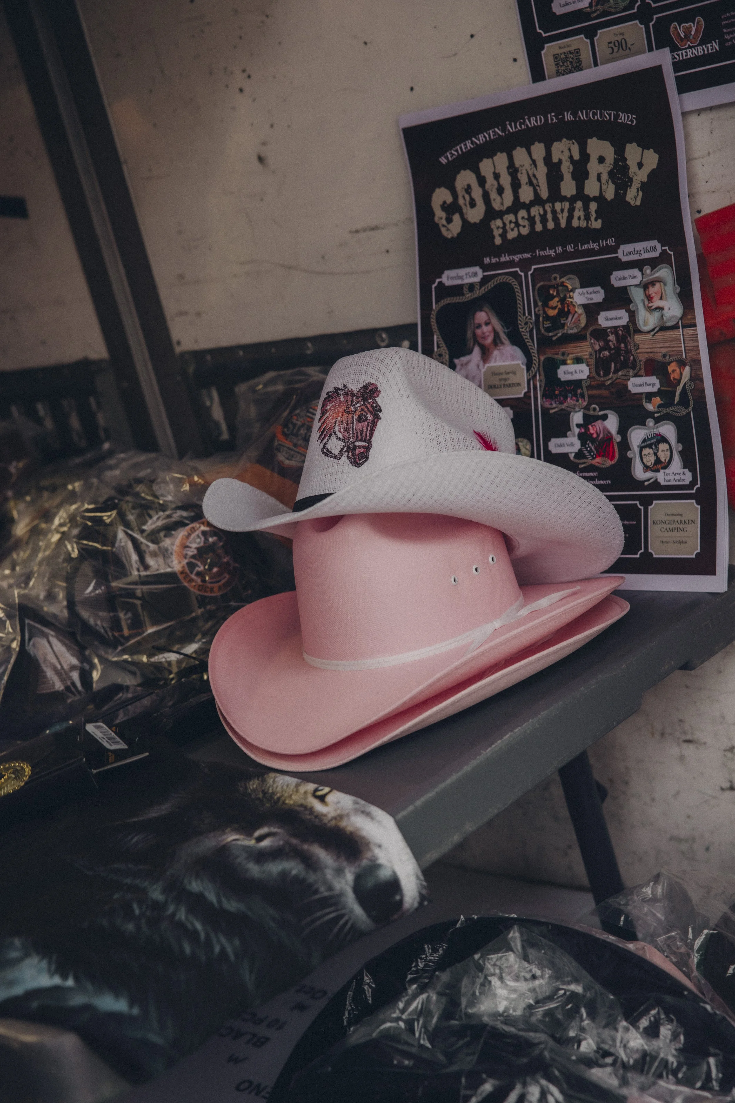 Storhaug Countryfest-115.jpg