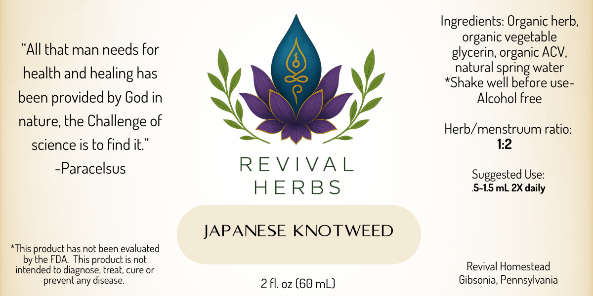 Japanese Knotweed.png