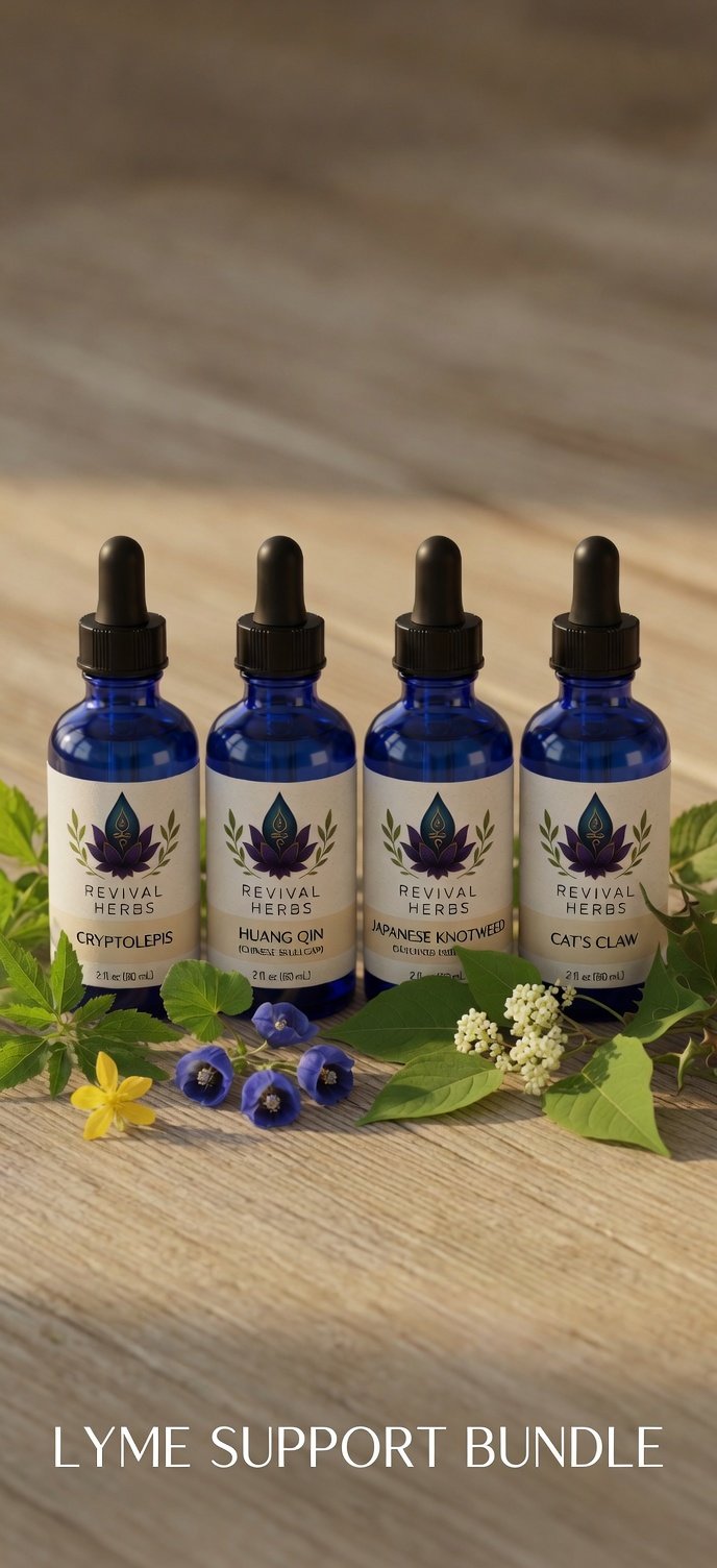 Lyme & Co-Infection Bundle