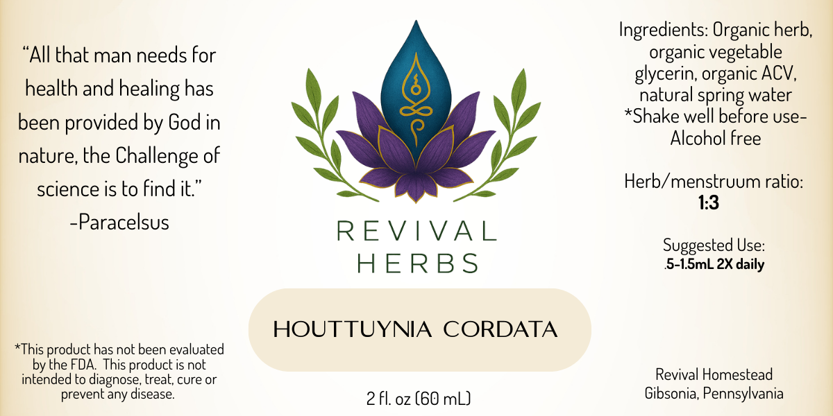 Houttuynia.png