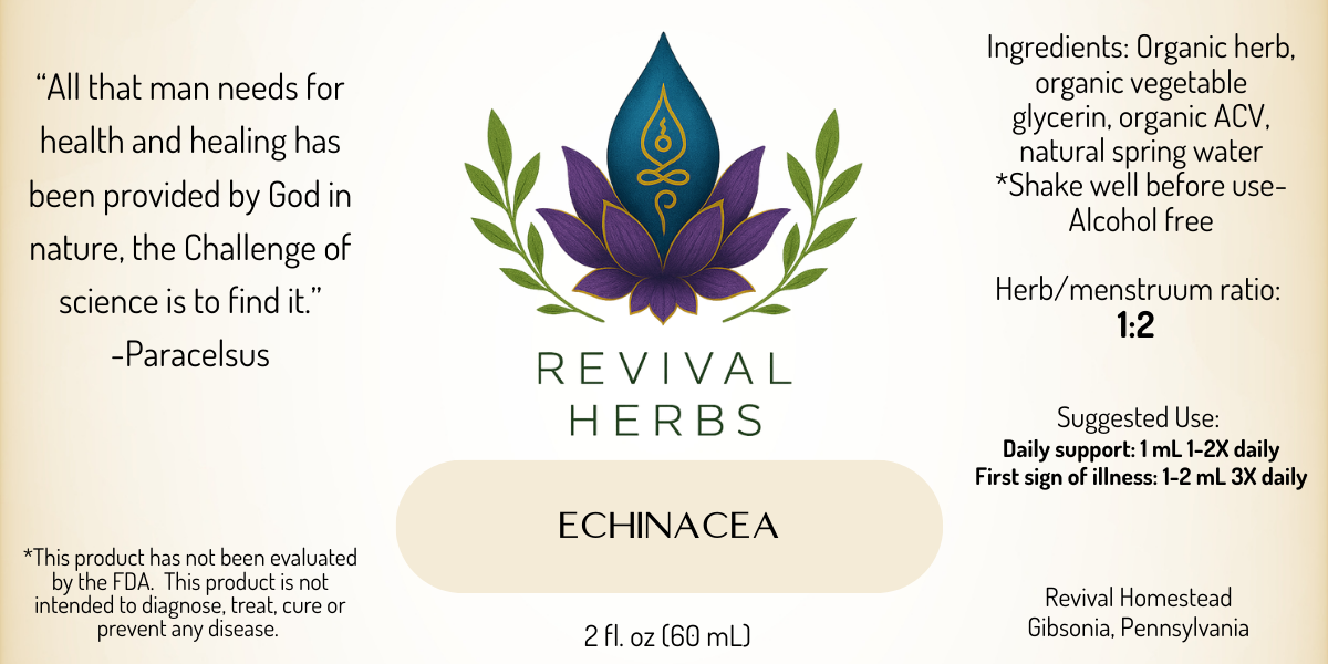 Echinacea.png