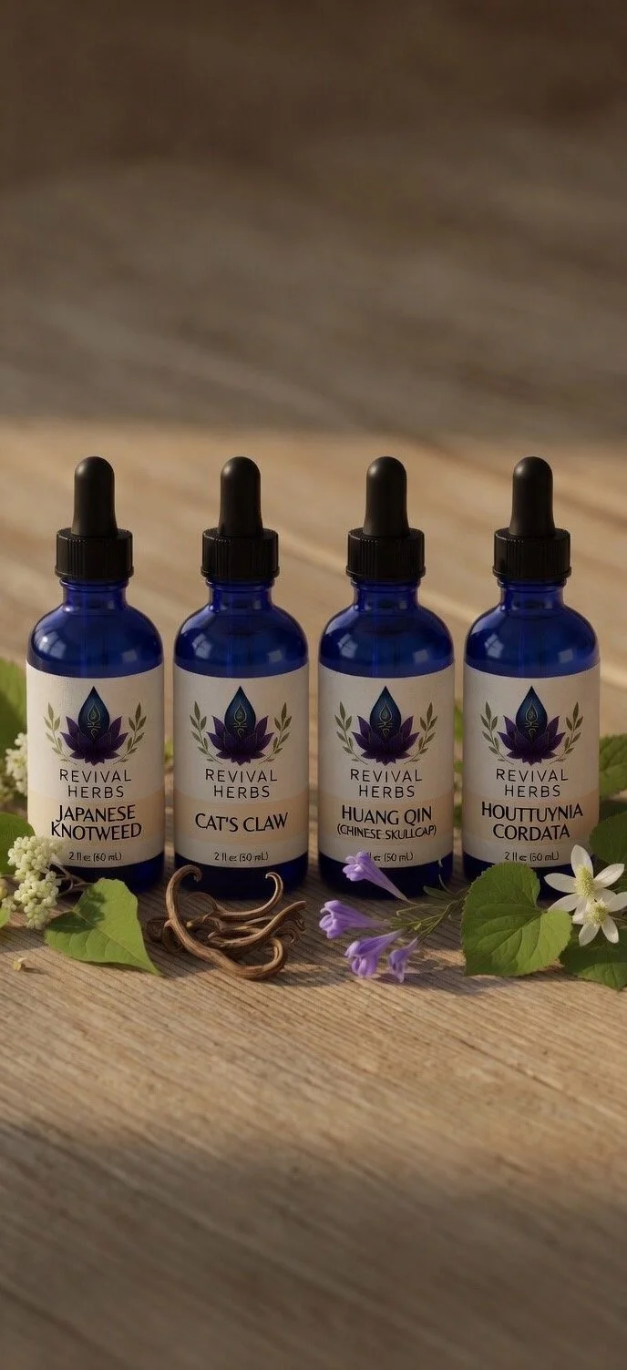 Kids Lyme Bundle