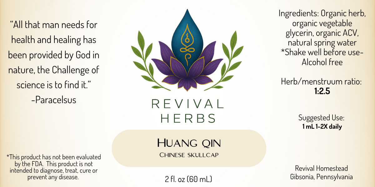 Huang Qin.png
