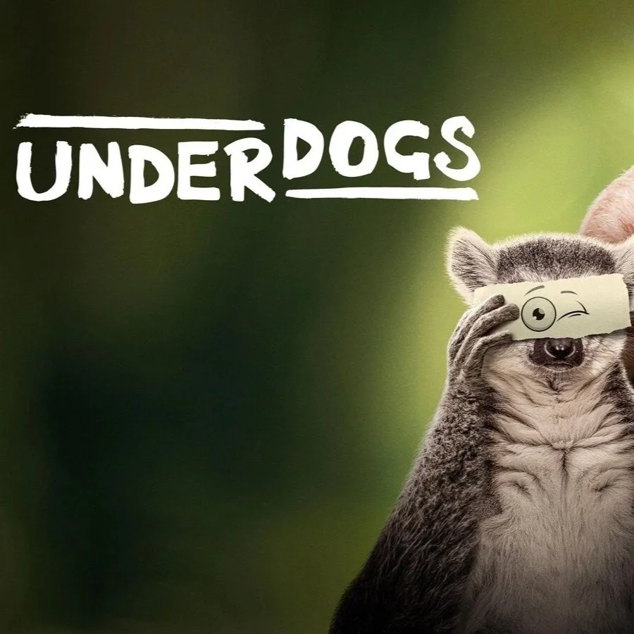 A baby otter holding a paper with a cartoon eye drawing over its eyes, next to text that says 'UNDERDOGS' on a green background.