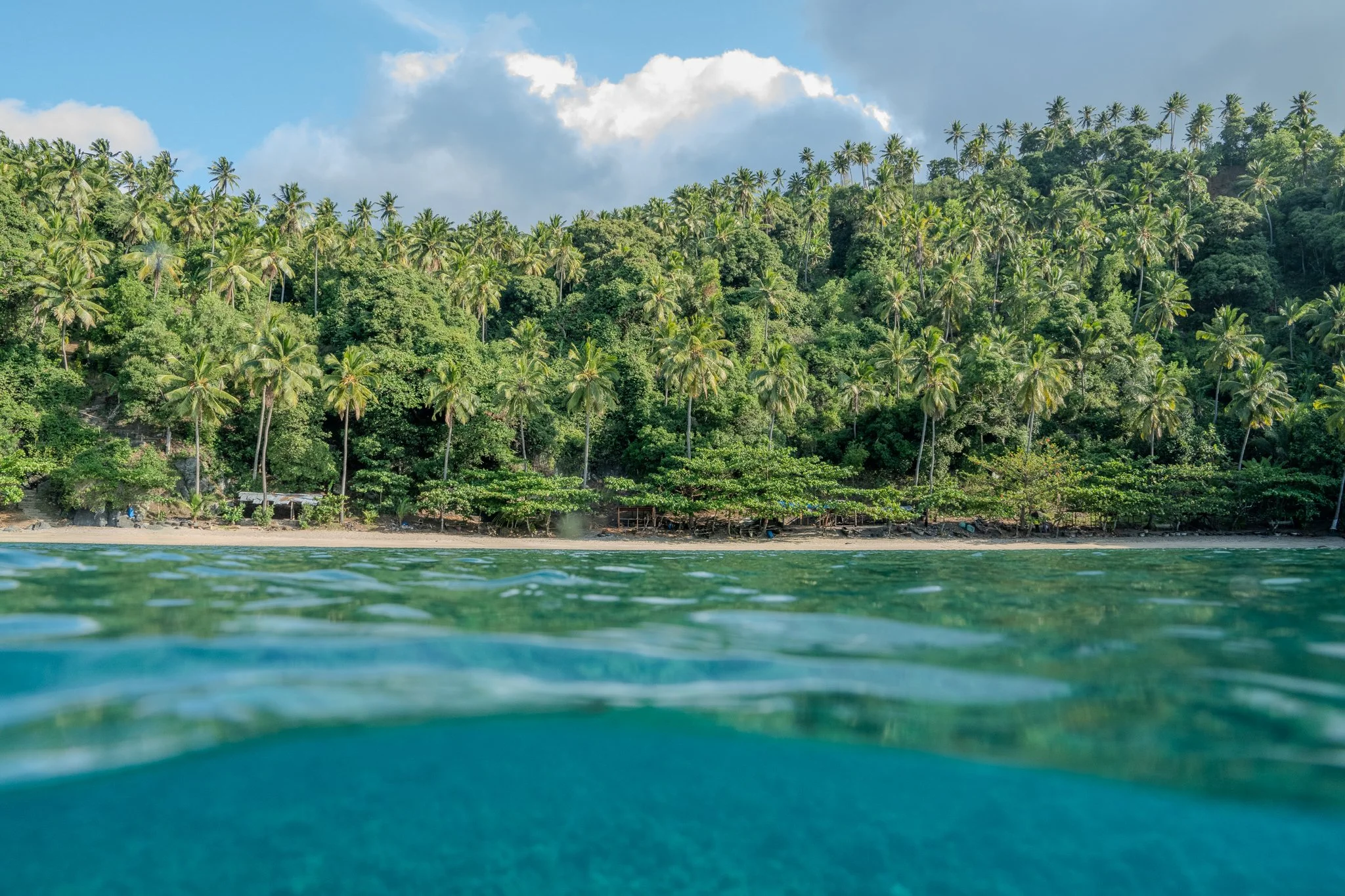 Tropical beach with clear blue water in the foreground and a lush green hill covered in palm trees in the background.